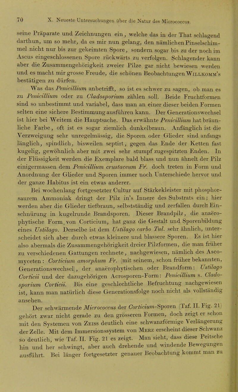 seine Präparate und Zeichnungen ein, welche das in der That schlagend darthun, um so mehr, da es mir nun gelang, den nämlichen Pinselschim- mel nicht nur bis zur gekeimten Spore, sondern sogar bis zu der noch im Ascus eingeschlossenen Spore rückwärts zu verfolgen. Schlagender kann aber die Zusammengehörigkeit zweier Pilze gar nicht bewiesen werden und es macht mir grosse Freude, die schönen Beobachtungen Willkomm's bestätigen zu dürfen. Was das Penicillium anbetrifft, so ist es schwer zu sagen, ob man es zu Penicillium oder zu Cladosporium zählen soll. Beide Fruchtformen sind so unbestimmt und variabel, dass man an einer dieser beiden Formen selten eine sichere Bestimmung ausführen kann. Der Generationswechsel ist hier bei Weitem die Hauptsache. Das erwähnte Penicillium hat bräun- liche Farbe, oft ist es sogar ziemlich dunkelbraun. Anfänglich ist die VerzAveigung sehr unregelmässig, die Sporen oder Glieder sind anfangs länglich, spindlich, bisweilen septirt, gegen das Ende der Ketten fast kugelig, gewöhnlich aber mit zwei sehr stumpf zugespitzten Enden. In der Flüssigkeit werden die Exemplare bald blass und nun ähnelt der Pilz einigermassen dem Penicillium crustaceum Fr. doch treten in Form und Anordnung der Glieder und Sporen immer noch Unterschiede hervor und der ganze Habitus ist ein etwas anderer. Bei wochenlang fortgesetzter Cultur auf Stärkekleister mit phosphor- saurem Ammoniak dringt der Pilz in's Innere des Substrats ein; hier werden aber die Glieder tiefbraun, selbstständig und zerfallen durch Ein- schnürung in kugelrunde Brandsporen. Dieser Brandpilz, die anaero- phytische Form, von Corticium, hat ganz die Gestalt und Sporenbildung eines Ustilago. Derselbe ist dem Ustilago carho Tul. sehr ähnlich, unter- scheidet sieb aber durch etwas kleinere und blassere Sporen. Es ist hier also abermals die Zusammengehörigkeit dreier Pilzformen, die man früher zu verschiedenen Gattungen rechnete, nachgewiesen, nämlich des Asco- myceten : Corticium amorphum Fr. (mit seinem, schon früher bekannten, Generationswechsel), der anaerophytischen oder Brandform: Ustilago Corficii und der dazugehörigen Acrosporen-Form: Penicillium s. Clado- sporium Corticii. Bis eine geschlechtliche Befruchtung nachgewiesen ist, kann man natürlich diese Generationsfolge noch nicht als vollständig ansehen. Der schwärmende Micrococcus der Corticium-^\)Oxen (Taf. II. Fig. 21) gehört zwar nicht gerade zu den grösseren Formen, doch zeigt er schon mit den Systemen von Zeiss deutlich eine schwanzförmige Verlängerung der Zelle. Mit dem Immersionssystem von Mekz erscheint dieser Schwanz so deutlich, wie Taf. II. Fig. 21 es zeigt. Man sieht, dass diese Peitsche hin und her schwingt, aber auch drehende und windende Bewegungen ausführt. Bei länger fortgesetzter genauer Beobachtung kommt man zu