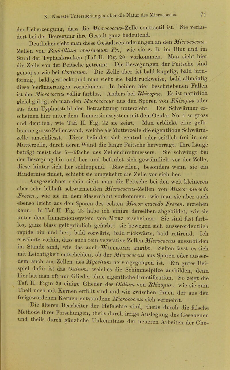 der Ueberzeugung, dass die Micrococcus-ZeWe contractil ist. Sie verän- dert bei der Bewegung ihre Gestalt ganz bedeutend. Deutlicher sieht man diese Gestaltveränderungen an den Micrococcus- Zellen von Penicillmm crustacmm Fr., wie sie z. B. im Blut und im Stuhl der Typhuskranken (Taf. II. Fig. 20) vorkommen. Man sieht hier die Zelle von der Peitsche getrennt. Die Bewegungen der Peitsche sind genau so wie bei Gorticium. Die Zelle aber ist bald kugelig, bald birn- förmig, bald gestreckt und man sieht sie bald ruckweise, bald allmählig diese Veränderungen vornehmen. In beiden hier beschriebenen Fällen ist der Micrococcus völlig farblos. Anders bei RMzopus. Es ist natürlich gleichgültig, ob man den Micrococcus aus den Sporen von RMzopus oder aus dem Typhusstuhl der Betrachtung unterzieht. Die Schwänner er- scheinen hier unter dem Immersionssystem mit dem Ocular No. 4 so gross und deutlich, wie Taf. II. Fig. 22 sie zeigt. Man erblickt eine gelb- braune grosse Zellenwand, welche als Mutterzelle die eigentliche Schwärm- zelle umschliesst. Diese befindet sich central oder seitlich frei in der Mutterzelle, durch deren Wand die lange Peitsche hervon'agt. Ihre Länge beträgt meist das 5—6fache des Zellendurchmessers. Sie schwingt bei der Bewegung hin und her und befindet sich gewöhnlich vor der Zelle, diese hinter sich her schleppend. Bisweilen, besonders wenn sie ein Hinderniss findet, schiebt sie umgekehrt die Zelle vor sich her. Ausgezeichnet schön sieht man die Peitsche bei den weit kleineren aber sehr lebhaft schwärmenden Micrococcus-TieWen von Mucor mucedo Presen., wie sie in dem Masernblut vorkommen, wie man sie aber auch ebenso leicht aus den Sporen des echten Mucor mucedo Presen, erziehen kann. In Taf. II. Fig. 23 habe ich einige derselben abgebildet, wie sie unter dem Immersionssystem von Merz erscheinen. Sie sind fast farb- los, ganz blass gelbgrünlich gefärbt; sie bewegen sich ausserordentlich rapide hin und her, bald vorwärts, bald rückwärts, bald rotirend. Ich erwähnte vorliin, dass auch rein vegetative Zellen Micrococcus auszubilden im Stande sind, wie das auch Willkomm angibt. Selten lässt es sich mit Leichtigkeit entscheiden, ob der Micrococcus aus Sporen oder ausser- dem auch aus Zellen des Mycelium hervorgegangen ist. Ein gutes Bei- spiel dafür ist das Oidiuni, welches die Schimmelpilze ausbilden, denn hier hat man oft nur Glieder ohne eigentliche Fructification. So zeigt die Taf. II. Figur 29 einige Glieder des Oidium von Rhizopus, wie sie zum Theil noch mit Kernen erfüllt sind und wie zwischen ihnen der aus den freigewordenen Kernen entstandene Micrococcus sich vermehrt. Die älteren Bearbeiter der Hefelehre sind, theils dui-ch die falsche Methode ihrer Forschungen, theils durch irrige Auslegung des Gesehenen und theils durch gänzliche Unkenntniss der neueren Arbeiten der Che-