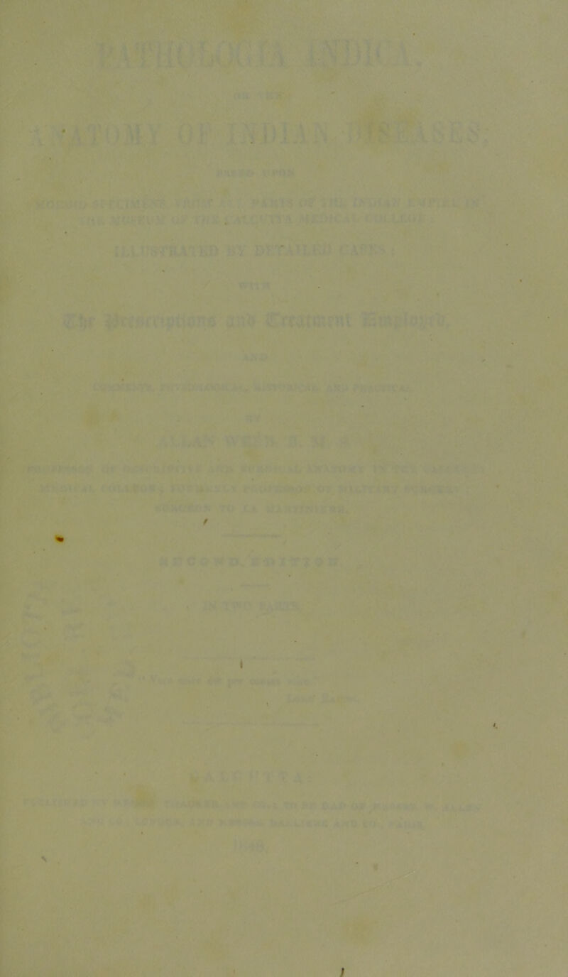 ' li:' i K • '• • K’ ‘M -,1 .A. If/- . :•> . f Vf ■■ , / I . . V,. ; 'u A- ^ 4 t. i -r*'— * 4— t I i ■ jr l- I*' t V ^ r N A. > , !v' i t;. V «■ /