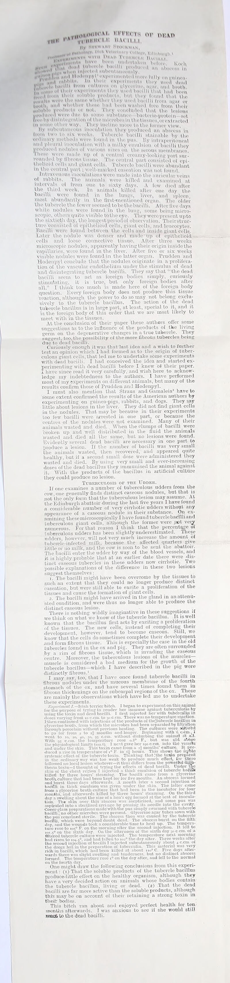Ill* .. ,i«h'm;,< Vl n'n:( ,s or heap '* n HKlU'l.i: haui.u. hi WilUll KvUtiliiivgti.1 i,t tnl». In I' I'l'lovo. Ko ''l an uhtuu'im ' Tviii> ium.ic mulovtnko '»vh> luiolllt prodmi  „ , \\ In i' llVJlVl.'d fUVlH'UtmiOOHMh i.I.-.i • 11-1' >MV' I >'M'i imentovlinovi' fully oniiulnoti- ,1.1 lal'I'U-. In Uwn >xpoi'tmoht m they muni dond I,, man I’WlUnvs on ulyivvtno, si»\iii\ mul broth .**•» thou oxpovimotils l hoy u ,-,l haoilli that, hud boon i\*ni lb oil' avihiblo piwdinn.., but they found that tbo wi'iv the *“me bothov tboy need hnollli from u«uv ov :»h>I whether theao bail boon washed two from iboiv ' imnUiols or not. Tboy oonohiiloil Unit. tbo loaiona ed wove due to some siibstanoo baoto ovio-proto Hoti d ion o( tliomiowbosin the tissues, or oxlrtuitod in ; omo otboi wav Tboy inolino mow to tbo tovmov view. ti> miboutanoous biooulation tboy pi'otluml an nhseoss in iiv»o tu., io weeks. Tiibovvto baoilh utmiuililo by tbo oivlmavv methods were Couiul m tbo pus. by intviiporitonoul ami plourat moonlation with a milky emulsion of baoilli tboy jnwiluoovl nOublos of various si/.os on tbo serous moiniuanoa. tbo,,- wow made up of a oontval emimy-looking part sur- 'u!'.v' l'>, ‘Unvns tissue. Tbo oontval part eonsistod of epi- thelioid eells mul giant eells. Tubovolo baoilli wow abundant in tbo oontval part; well-marked oasoation was not found. tntvav onous inooulations wow mado into tbo auviouiav vi'ins of rabbits. Tbo animals wow killed and examined at intervals of fwm ono to sixty days. A tow diod after tbo tbird wool;. In animals killed aftor ono day tbo baoilli wow found in tbo hums, livov, and spleen most abundantly in tbo Urst-montionod organ. Tbo older tbo tubowlo tbo towor soomod tobotbobaoitti. After live days wbito nodules wow found in tbo lung, somo being mievo- soopio, otliovsquito visible totbooyo. They wove present upto tbo sixtieth day, tbo longest poriodof observation. Theirstvue- tmv consisted of epithelioid colls, giant colls, and leucocytes, baoilli wow found between the oolls and inside giant cells. Y.utor the nodule was denser and made up of epithelioid, cells and loose connective tissue. Aftor three weeks microscopic nodules, apparently having their origin inside the capillaries, were found in the liver. After live or six weeks visible nodules were found in the latter organ. Prudden and llodenpvl conclude that the nodules originate in a prolifera- tion of the vascular endothelium under the stimulus of dead and disintegrating tubercle bacilli. They say that “the dead bacilli seem to act as foreign bodies simply, curiously stimulating, it is true, but only foreign bodies after all. I think too much is made hero of the foreign body question. Every foreign body does not produce, this tissue reaction, although the power to do so may not belong exclu- sively to the tubercle bacillus. The action of the dead tubercle bacillus is in large part, at least, special to it, and it is the foreign body of this order that we are most likely to meet with in the tissues. At the conclusion of their paper these authors oiler some suggestions as to the influence of the products of the living germ on the degenerative changes in a true tubercle. They suggest, too, the possibility of the more fibrous tubercles being due to dead bacilli. Curiously enough it was tliatrlast idea and a wish to further test an opinion which I had formed as to the origin of tuber- culous giant cells, that led me to undertake some experiments with dead baciili. I had conceived the idea and started ex- perimenting with dead bacilli before I knew of their paper. x have since read it very carefully, and wish here to acknow- ledge my indebtedness to the authors. I have performed most of my experiments on different animals, but many of the results confirm those of Prudden and Hodenpyl. I must also mention that Straus and Gamaleia3 have to some extent confirmed the results of the American authors by experimenting on guinea-pigs, rabbits, and dogs. They say little about lesions in the liver. They did not find giant cells in the nodules. That may he because in their experiments loo few bacilli were- ajrested in one part, or because the centres of the nodules were not examined. Many of their animals wasted and died. When the clumps of bacilli were broken up and well distributed in the fluid the animals wasted and died all the same, but no lesions were found. Evidently several dead bacilli are necessary in one part to produce a lesion. If the number of bacilli was very small the animals wasted, then recovered, and appeared quite healthy, but if a second small dose were administered they wasted and died. Bv using very small and ever-increasing doses of the dead bacillus they immunised the animal against it. With the products of the bacillus in artificial culture they could produce no lesion. Tuberculosis of the Udder. If one examines a number of tuberculous udders from the cow, one generally finds distinct caseous nodules, hut that is not the only form that the tuberculous lesion may assume. At the Edinburgh abattoir during the last five years I have found a considerable number of very cirrhotic udders without any appearance of a caseous nodule in their substance. On ex- amining these microscopically I have found tubercle bacilli and tuberculous giant cells, although the former were .net veiw numerous. For that reason I think that the percentage of Uibereulous udders has been slightly underestimated. These udders, however, will not very much increase the amount of tubercle-infected milk, because the affected quarters give little or no milk, and the cow is soon to be sent the abattoir. The bacilli enter the udder by way of the blood vessels, and it is highly probable that at an earlier date there were dis- tinct caseous tubercles in these udders now cirrhotic. Two possible explanations of the difference in these two lesions suggest themselves: . , 1. The bacilli might have been overcome by the tissues to such an extent that they could no longer produce distinct caseation, but were still able t© excite a proliferation of the tissues and cause the formation of giant cells. 2. The bacilli might have arrived in the gland in an attenu- ated condition, and were thus no longer able to produce the distinct caseous lesion. - . Tliere is nothing wildly imaginative in these suggestions if we think on what we know of the tubercle bacillus. It is well known that the bacillus first acts by exciting a proliferation of the tissues. The new eells, instead of completing then- development, however, tend to become caseous. Still, we know that the cells do sometimes complete their development and form fibrous tissue. This is especially the case in the old tubercles found in the ox and pig. They are often surrounded by a rim of fibrous tissue, which is invading the caseous centre. Moreover, the tuberculous lesions of the muscles— muscle is considered a bad medium for the growth of the tubercle bacillus—which I have described in the pig were distinctly fibrous.1 . I may say, too, that I have once found tubercle bacilli m fibrous nodules under the mucous membrane of the fourth stomach of the ox, and have several times found them in fibrous thickenings on the subcarpal regions of the ox. These are mainly the observations which have led me to undertake these experiments. , ^, Kxitcnmcnl I. -Irish terrier bitch. I began to experiment on this animal lor tbo purpose of trying to render her immune against tuberculosis by using the toxin and dead bacilli. I first injected her with tubereium in doses varying from io c.em. to 30 c.cm. There was no temperature reaction, rthon continued with injections of the products of tho^tubcrclc bacillus m glycerine broth, from which the microbes had been separated by filtration through porcelain without previous heating. Tlio cultures were aUbivdd to go for from 2 to 2J mouths and longer. Beginning with 6 c.cm., 1 went to 10, 20, 40, 50, 95 c.cm. without disturbing the animal at all. With 95 c.cm. the temperature rose o.S° F., but was not abb ye the physiological limits (102.6). I next gave her 190 c.cm. into the vessels and under the skin. This toxin came from a 2} months’ culture. It pro- duced a rise in temperature of i° F. in 6j hours. This shows the fcpblo svstemic cll'cct of the tubercle toxin. Thinking tliat'.tlic tosn prepared iii the ordinary wav was too weak to produce much effect, for there followed no local lesion whatever—it thus differs from the powerful diph- theria toxin-1 thoutrht of trying the effects of dead bacilli. Under the skin oi the chest region I injected a thick emulsion of tubercle baCiU* killed bv three hours’ steaming. The bacilli came from a glycerine broth culture that had bccu kept for for five months. An abscess lormecl and burst throe days afterwards. A month later a second injection ot bacilli in thick emulsion was given under the skin. The latter came from a glycerine broth culture that had been in the incubator tor lour months, and afterwards killed by three hours’ steaming. On the third day a swelling about the size of a hen's egg formed at the seat of inocula- tion The skin over this abscess was ascpticiscd, and somo pus was a-spiirated into a sterilised syri 11 go by passing its needle into the cavity. Coyer-glass preparations made'with the pus simply swarmed with tubercle bacilli; no other microbes were present. Glycerine agar tubes sown with the pus remained storilc. The abscess then was caused by the tubercle bacilli, which wore beyond doubt dead. The abscess burst 011 the filth day, and the wounds took a considerable time to heal up. The tempera- ture rose to 105° F. on the morning after the second injection. It loll to 101.S0 on the sixth day. On the afternoon oi the sixth day 30 c cm. of a ftltored tubercle culture were injected. The temperature next morning had risen to 104.5°, and had fallen to 102° the day alter. Three weeks alter the second injection of bacilli I injected subcutaneously about 4 c.cm. of the drogs left in the preparation of tuberculin. This material was very rich in bacilli, which had been killed at about 110° C. Five days after- wards there was slight swelling and tenderness, hut 110 distinct abscess lormed. The temperature rose 1° on the day alter, and fell to the normal on the fourth day. , . ... One might draw the following conclusions from this experi- ment: (1) That the soluble products of the tubercle bacillus produce-little effect on the healthy organism, although they have a very decided action on animals whose bodies contain the tubercle bacillus, living or dead. (2) That the dead bacilli are far more active than the soluble products, although this may be on account of their retaining a strong toxin in thoir bodies. This bitch van about and enjoyed perfect health for ten months afterwards. I was anxious to see if she would still