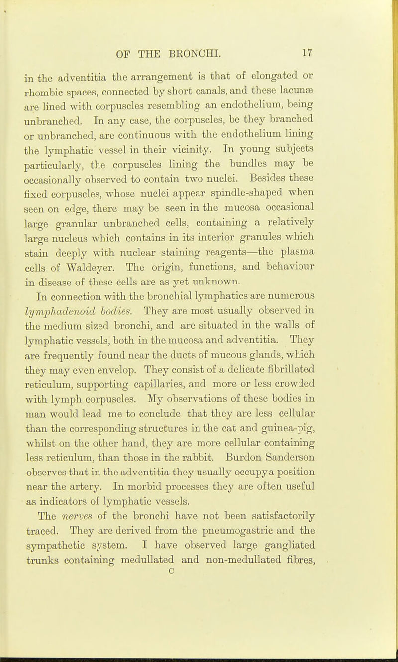 in the adventitia the arrangement is that of elongated or rhombic spaces, connected by short canals, and these lacunse are lined with corpuscles resembling an endothelium, being unbranched. In any case, the corpuscles, be they branched or unbranched, are continuous with the endothelium lining the lymphatic vessel in their vicinity. In young subjects particularly, the corpuscles lining the bundles may be occasionally observed to contain two nuclei. Besides these fixed corpuscles, whose nuclei appear spindle-shaped when seen on edge, there may be seen in the mucosa occasional large granular unbranched cells, containing a relatively large nucleus which contains in its interior granules which stain deeply with nuclear staining reagents—the plasma cells of Waldeyer. The origin, functions, and behaviour in disease of these cells are as yet unknown. In connection with the bronchial lymphatics are numerous lymphadenoid bodies. They are most usually observed in the medium sized bronchi, and are situated in the walls of lymphatic vessels, both in the mucosa and adventitia. They are frequently found near the ducts of mucous glands, which they may even envelop. They consist of a delicate fibrillated reticulum, supporting capillaries, and more or less crowded with lymph corpuscles. My observations of these bodies in man would lead me to conclude that they are less cellular than the corresponding structures in the cat and g-uinea-pig, whilst on the other hand, they are more cellular containing less reticulum, than those in the rabbit. Burdon Sanderson observes that in the adventitia they usually occupy a position near the artery. In morbid processes they are often useful as indicators of lymphatic vessels. The nerves of the bronchi have not been satisfactorily traced. They are derived from the pneumogastric and the sympathetic system. I have observed large gangliated trunks containing meduUated and non-meduUated fi.bres, c