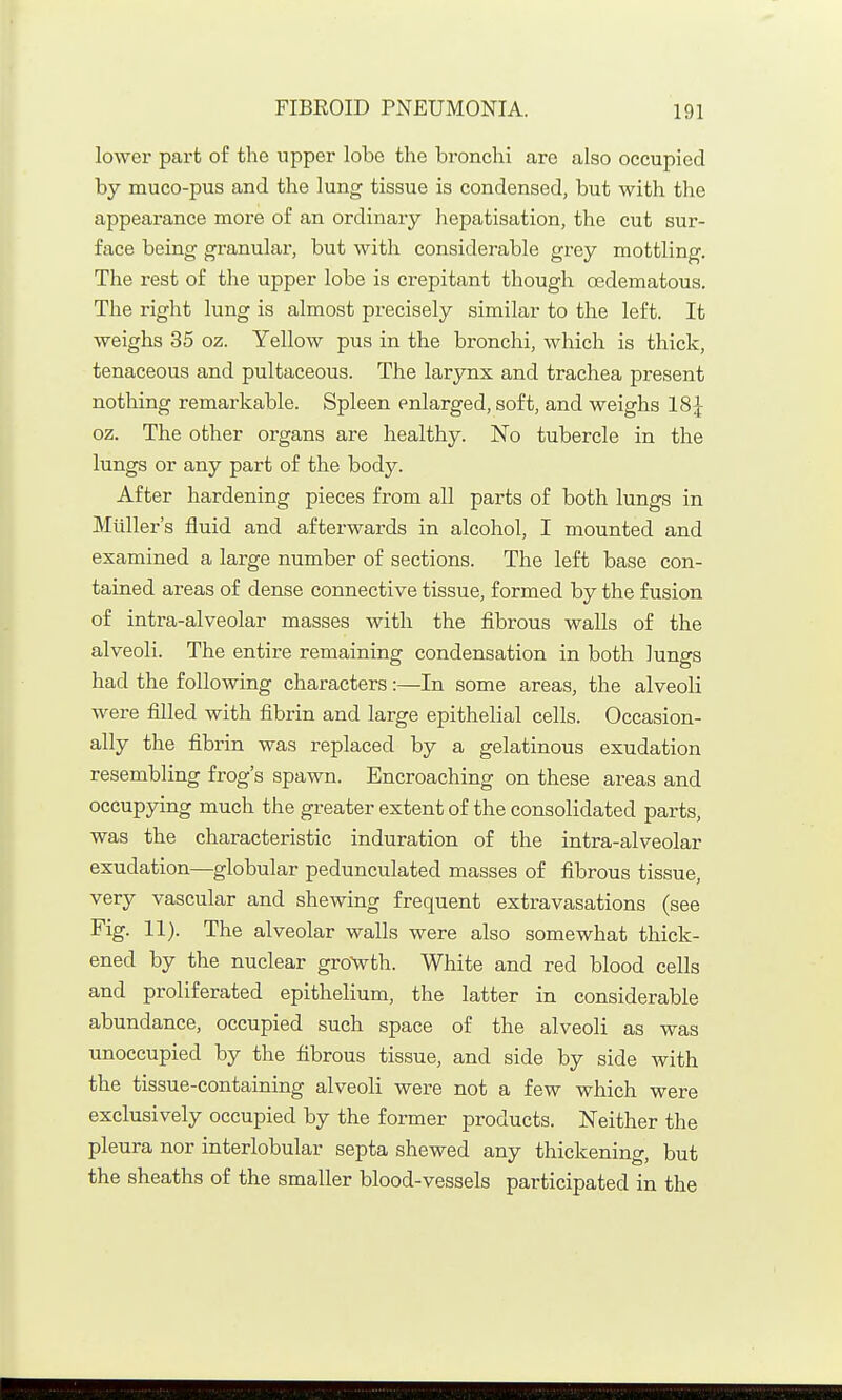 lower part of the upper lobe the bronchi are also occupied by muco-pus and the lung tissue is condensed, but with the appearance more of an ordinary liepatisation, the cut sur- face being granular, but with considerable grey mottling. The rest of the upper lobe is crepitant though oedematous. The right lung is almost precisely similar to the left. It weighs 35 oz. Yellow pus in the bronchi, which is thick, tenaceous and pultaceous. The larynx and trachea present nothing remarkable. Spleen enlarged, soft, and weighs 18^ oz. The other organs are healthy. No tubercle in the lungs or any part of the body. After hardening pieces from all parts of both lungs in Miiller's fluid and afterwards in alcohol, I mounted and examined a large number of sections. The left base con- tained areas of dense connective tissue, formed by the fusion of intra-alveolar masses with the fibrous walls of the alveoli. The entire remaining condensation in both lungs had the following characters:—In some areas, the alveoli were filled with fibrin and large epithelial cells. Occasion- ally the fibrin was replaced by a gelatinous exudation resembling frog's spawn. Encroaching on these areas and occupying much the greater extent of the consolidated parts, was the characteristic induration of the intra-alveolar exudation—globular pedunculated masses of fibrous tissue, very vascular and shewing frequent extravasations (see Fig. 11). The alveolar walls were also somewhat thick- ened by the nuclear groVth. White and red blood cells and proliferated epithelium, the latter in considerable abundance, occupied such space of the alveoli as was unoccupied by the fibrous tissue, and side by side with the tissue-containing alveoli were not a few which were exclusively occupied by the former products. Neither the pleura nor interlobular septa shewed any thickening, but the sheaths of the smaller blood-vessels participated in the