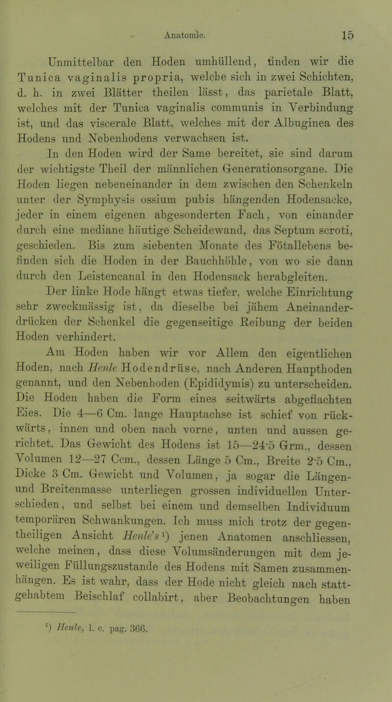 Unmittelbar den Hoden umhüllend, linden wir die T uni ca vaginalis propria, welche sich in zwei Schichten, d. h. in zwei Blätter theilen lässt, das parietale Blatt, welches mit der Tunica vaginalis communis in Verbindung ist, und das viscerale Blatt, welches mit der Albuginea des Hodens und Nebenhodens verwachsen ist. In den Hoden wird der Same bereitet, sie sind darum der wichtigste Theil der männlichen Generationsorgane. Die Hoden liegen nebeneinander in dem zwischen den Schenkeln unter der Symphysis ossium pubis hängenden Hodensacke, jeder in einem eigenen abgesonderten Fach, von einander durch eine mediane häutige Scheidewand, das Septum scroti, geschieden. Bis zum siebenten Monate des Fötallebens be- finden sich die Hoden in der Bauchhöhle, von wo sie dann durch den Leistencanal in den Hodensack herabgleiten. Der linke Hode hängt etwas tiefer, welche Einrichtung sehr zweckmässig ist, da dieselbe bei jähem Aneinander- drücken der Schenkel die gegenseitige Reibung der beiden Hoden verhindert. Am Hoden haben wir vor Allem den eigentlichen Hoden, nach Heult Hodendrüse, nach Anderen Haupthoden genannt, und den Nebenhoden (Epididymis) zu unterscheiden. Die Hoden haben die Form eines seitwärts abgeflachten Eies. Die 4—6 Cm. lange Hauptachse ist schief von rück- wärts , innen und oben nach vorne, unten und aussen ge- richtet. Das Gewicht des Hodens ist 15—245 Grm., dessen Volumen 12—27 Ccm., dessen Länge 5 Cm., Breite 25 Cm., Dicke 3 Cm. Gewicht und Volumen, ja sogar die Längen- und Breitenmasse unterliegen grossen individuellen Unter- schieden , und selbst bei einem und demselben Individuum temporären Schwankungen. Ich muss mich trotz der gegen- theiligen Ansicht Heule'sl) jenen Anatomen anschliessen, welche meinen, dass diese Volumsänderungen mit dem je- weiligen Füllungszustande des Hodens mit Samen zusammen- liängen. Es ist wahr, dass der Hode nicht gleich nach statt- gehabtem Beischlaf collabirt, aber Beobachtungen haben