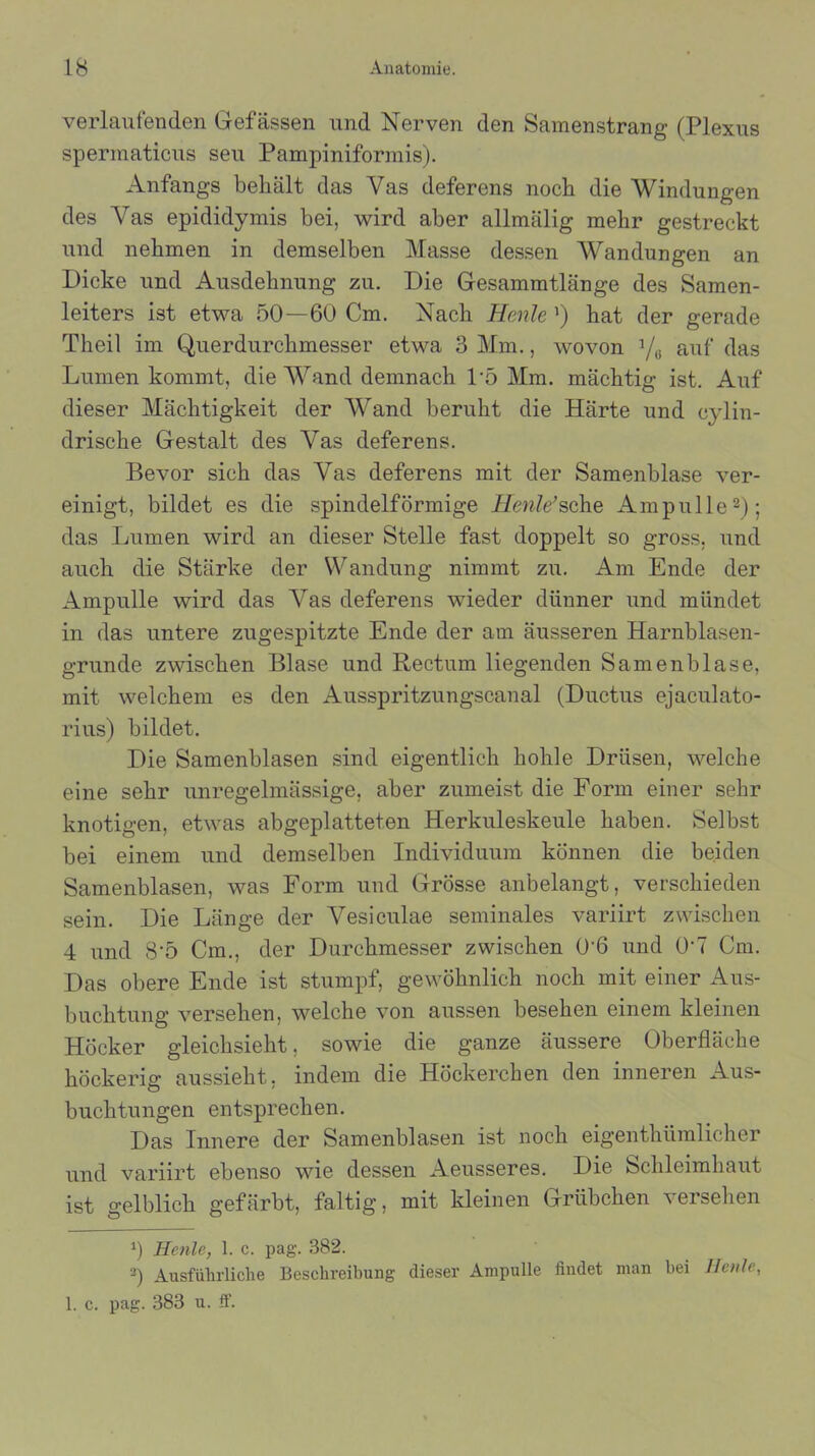 verlaufenden Gefässen und Nerven den Samenstrang (Plexus spermaticus seu Pampiniformis). Anfangs behält das Yas deferens noch die Windungen des Yas epididymis bei, wird aber allmälig mehr gestreckt und nehmen in demselben Masse dessen Wandungen an Dicke und Ausdehnung zu. Die Gesammtlänge des Samen- leiters ist etwa 50—60 Cm. Nach Henle ’) hat der gerade Theil im Querdurchmesser etwa 3 Mm., wovon 1/6 auf das Lumen kommt, die Wand demnach P5 Mm. mächtig ist. Auf dieser Mächtigkeit der Wand beruht die Härte und cylin- drische Gestalt des Vas deferens. Bevor sich das Yas deferens mit der Samenblase ver- einigt, bildet es die spindelförmige Henle’sehe Ampulle2); das Lumen wird an dieser Stelle fast doppelt so gross, und auch die Stärke der Wandung nimmt zu. Am Ende der Ampulle wird das Yas deferens wieder dünner und mündet in das untere zugespitzte Ende der am äusseren Harnblasen- grunde zwischen Blase und Rectum liegenden Samen blase, mit welchem es den Ausspritzungscanal (Ductus ejaculato- rius) bildet. Die Samenblasen sind eigentlich hohle Drüsen, welche eine sehr unregelmässige, aber zumeist die Form einer sehr knotigen, etwas abgeplatteten Herkuleskeule haben. Selbst bei einem und demselben Individuum können die beiden Samenblasen, was Form und Grösse anbelangt, verschieden sein. Die Länge der Vesiculae seminales variirt zwischen 4 und 8'5 Cm., der Durchmesser zwischen 0-6 und 0‘7 Cm. Das obere Ende ist stumpf, gewöhnlich noch mit einer Aus- buchtung versehen, welche von aussen besehen einem kleinen Höcker gleichsieht, sowie die ganze äussere Oberfläche höckerig aussieht, indem die Höckerchen den inneren Aus- buchtungen entsprechen. Das Innere der Samenblasen ist noch eigenthümlicher und variirt ebenso wie dessen Aeusseres. Die Schleimhaut ist gelblich gefärbt, faltig, mit kleinen Grübchen versehen 0 Henle, 1. c. pag. 382. 2) Ausführliche Beschreibung dieser Ampulle findet man bei Heule, 1. c. pag. 383 u. ff.