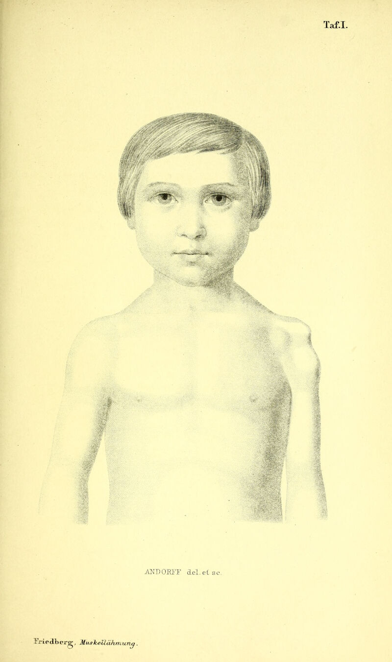 AlJDOKIiT del.etsc. Eriedberg, MiMheUähmurii^.