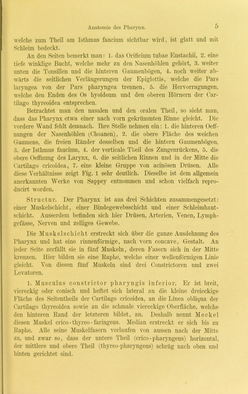 welche zum Tlieil am Istlmms fand um sichtbar wird, ist glatt und mit Schleim bedeckt. An den Seiten bemerkt man: 1. das Orificium tubae Eustachii, 2. eine tiefe winklige Bucht, welche mehr zu den Nasenhöhlen gehört, 3. weiter unten die Tonsillen und die hinteren Gaumenbögen, 4. noch weiter ab- wärts die seitlichen Verlängerungen der Epiglottis, welche die Pars laryngea von der Pars pharyngea trennen, 5. die Hervorragungen, welche den Enden des Os hyoideum und den oberen Hörnern der Car- tilago thyreoidea entsprechen. Betrachtet man den nasalen und den oralen Tlieil, so sieht man, dass das Pharynx etwa einer nach vorn gekrümmten Rinne gleicht. Die vordere Wand fehlt demnach. Ihre Stelle nehmen ein: 1. die hinteren Oeff- nungen der Nasenhöhlen (Choanen), 2. die obere Fläche des weichen Gaumens, die freien Ränder desselben und die hintern Gaumenbögen, 3. der Isthmus faucium, 4. der verticale Tlieil des Zungenrückens, 5. die obere Oeffnung des Larynx, 6. die seitlichen Rinnen und in der Mitte die Cartilago cricoidea, 7. eine kleine Gruppe von acinösen Drüsen. Alle diese Verhältnisse zeigt Fig. 1 sehr deutlich. Dieselbe ist dem allgemein anerkannten Werke von Sappey entnommen und schon vielfach repro- ducirt worden. Structur. Der Pharynx ist aus drei Schichten zusammengesetzt: einer Muskelschicht, einer Bindegewebsschicht und einer Schleimhaut- schicht. Ausserdem befinden sich hier Drüsen, Arterien, Venen, Lympli- gefässe, Nerven und zelliges Gewebe. Die Muskelschicht erstreckt sich über die ganze Ausdehnung des Pharynx und hat eine rinnenförmige, nach vorn concave, Gestalt. An jeder Seite zerfällt sie in fünf Muskeln, deren Fasern sich in der Mitte kreuzen. Hier bilden sie eine Raphe, welche einer wellenförmigen Linie gleicht. Von diesen fünf Muskeln sind drei Constrictoren und zwei Levatoren. 1. Musculus constrictor pharyngis inferior. Er ist breit, viereckig oder conisch und heftet sich lateral an die kleine dreieckige Fläche des Seitentheils der Cartilago cricoidea. an die Linea obliqua der Cartilago thyreoidea sowie an die schmale viereckige Oberfläche, welche den hinteren Rand der letzteren bildet, an. Deshall) nennt Meckel diesen Muskel crico- thyreo -faringeus. Median erstreckt er sich bis zu Raphe. Alle seine Muskelfasern verlaufen von aussen nach der Mitte zu, und zwar so, dass der untere Tlieil (crico-pharyngeus) horizontal, der mittlere und obere Tlieil (thyreo-pharyngeus) schräg nach oben und hinten gerichtet sind.