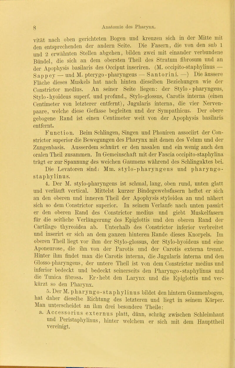 vität nach oben gerichteten Bogen und kreuzen sich in der Mitte mit den entsprechenden der andern Seite. Die Fasern, die von den sub 1 und 2 erwähnten Stellen abgehen, bilden zwei mit einander verbundene Bündel, die sich an dem obersten Theil des Stratum fibrosum und an der Apophysis basilaris des Occiput inseriren. (M. occipito-staphylinus — g ap p ey — und M. pterygo - pharyngeus — S antorin i. —) Die äussere Fläche dieses Muskels hat nach hinten dieselben Beziehungen wie der Constrictor medius. An seiner Seite liegen: der Stylo - pharyngeus, Stylo-hyoideus superf. und profund., Stylo-glossus, Carotis interna (einen Centimeter von letzterer entfernt), Jugularis interna, die Arier Nerven- paare, welche diese Gefässe begleiten und der Sympathicus. Der obere gebogene Band ist einen Centimeter weit von der Apophysis basilaris entfernt. Function. Beim Schlingen, Singen und Phoniren associirt der Con- strictor superior die Bewegungen des Pharynx mit denen des Velmn und der Zungenbasis. Ausserdem schnürt er den nasalen und ein wenig auch den oralen Theil zusammen. In Gemeinschaft mit der Fascia occipito-staphylina trägt er zur Spannung des weichen Gaumens während des Schlingaktes bei. Die Levatoren sind: Mm. stylo-pharyngeus und pharyngo- staphylinus. 4. Der M. stylo-pharyngeus ist schmal, lang, oben rund, unten glatt und verläuft vertical. Mittelst kurzer Bindegewebsfasern heftet er sich an den oberen und inneren Theil der Apophysis styloidea an und nähert sich so dem Constrictor superior. In seinem Verlaufe nach imten passirt er den oberen Band des Constrictor medius und giebt Muskelfasern für die seitliche Verlängerung des Epiglottis und den oberen Band der Cartilago thyreoidea ab. Unterhalb des Coustrictor inferior verbreitet und inserirt er sich an dem ganzen hinteren Bande dieses Knorpels. Im oberen Theil liegt vor ihm der Stylo-glossus, der Stylo-hyoideus und eine Aponeurose, die ihn von der Parotis und der Carotis externa trennt. Hinter ihm findet man die Carotis interna, die Jugularis interna und den Glosso-pharyngeus, der untere Theil ist von dem Constrictor medius und inferior bedeckt und bedeckt seinerseits den Pharyngo - staphylinus und die Tunica fibrosa. Er-hebt den Larynx und die Epiglottis und ver- kürzt so den Pharynx. 5. Der M. pharyngo-staphylinus bildet den liintern Gaumenbogen, hat daher dieselbe Biclitung des letzteren und liegt in seinem Körper. Man unterscheidet an ihm drei besondere Tlieile: a. Accessorius externus platt, dünn, schräg zwischen Schleimhaut und Peristaphylinus, hinter welchem er sich mit dem Haupttheil vereinigt.
