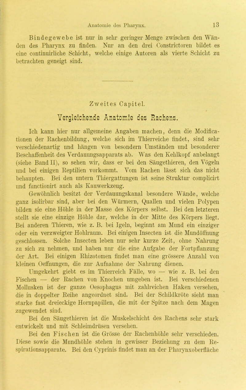 Bindegewebe ist nur in sehr geringer Menge zwischen den Wän- den des Pharynx zu finden. Nur an den drei Constrictoren bildet es eine continuirliche Schicht, welche einige Autoren als vierte Schicht zu betrachten geneigt sind. Zweites Capitel. Vergleichende Anatomie des Rachens. Ich kann hier nur allgemeine Angaben machen, denn die Modifica- tionen der Rachenbildung, welche sich im Thierreiche findet, sind sein- verschiedenartig und hängen von besondern Umständen und besonderer Beschaffenheit des Yerdauungsapparats ab. Was den Kehlkopf anbelangt (siehe Band II), so sehen wir, dass er bei den Säugethieren, den Vögeln und bei einigen Reptilien vorkommt. Vom Rachen lässt sich das nicht behaupten. Bei den untern Thiergattungen ist seine Struktur complicirt und functionirt auch als Kauwerkzeug. Gewöhnlich besitzt der Verdauungskanal besondere Wände, welche ganz isolirbar sind, aber bei den Würmern, Quallen und vielen Polypen bilden sie eine Hölile in der Masse des Körpers selbst. Bei den letzteren stellt sie eine einzige Holde dar, welche in der Mitte des Körpers liegt. Bei anderen Thieren, wie z. B. bei Igeln, beginnt am Mund em einziger oder ein verzweigter Hohlraum. Bei einigen Insecten ist die Mundöffnung geschlossen. Solche Insecten leben nur sehr kurze Zeit, ohne Nahrung zu sich zu nehmen, und haben nur die eine Aufgabe der Fortpflanzung der Art. Bei einigen Rhizotomen findet man eine grössere Anzahl von kleinen Oeffnungen, die zur Aufnahme der Nahrung dienen. Umgekehrt giebt es im Thierreich Fälle, wo — wie z. B. bei den Fischen — der Rachen von Knochen umgeben ist. Bei verschiedenen Mollusken ist der ganze Oesophagus mit zahlreichen Haken versehen, die in doppelter Reihe angeordnet sind. Bei der Schildkröte sieht man starke fast dreieckige Hornpapillen, die mit der Spitze nach dem Magen zugewendet sind. Bei den Säugethieren ist die Muskelschicht des Rachens sehr stark entwickelt und mit Schleimdrüsen versehen. Bei den Fischen ist die Grösse der Rachenhöhle sehr verschieden. Diese sowie die Mundhöhle stehen in gewisser Beziehung zu dem Re- spirationsapparate. Bei den Cyprinis findet man an der Pharynxoberfläche