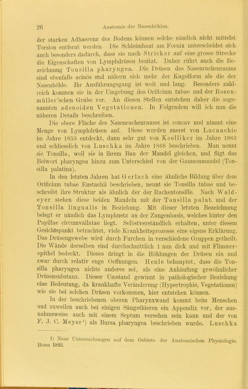 der starken Adhaerenz des Bodens können solche nämlich nicht mittelst Torsion entfernt werden. Die Schleimhaut am Fornix unterscheidet sich auch besonders dadurch, dass sie nach Stricker aut eine grosse Strecke die Eigenschaften von Lymphdrüsen besitzt. Daher rührt auch die Be- zeichnung Tonsilla pharyngea. Die Drüsen des Nasenrachenraums sind ebenfalls acinös und nähern sich mehr der Kugelform als die der Nasenhöhle. Ihr Ausfülmmgsgang ist weit und lang. Besonders zahl- reich kommen sie in der Umgebung des Orificium tubae und der Rosen - mliller’schen Gmbe vor. An diesen Stellen entstehen daher die soge- nannten adenoiden Vegetationen. In Folgendem will ich nun die näheren Details beschreiben. Die obere Fläche des Nasenrachenraums ist concav und nimmt eine Menge von Lymphdrüsen auf. Diese wurden zuerst von Lacaucliie im Jahre 1853 entdeckt, dann sehr gut von Koelliker im Jahre 1863 und schliesslich von Luschka im Jahre 1868 beschrieben. Man nennt sie Tonsilla, weil sie in ihrem Bau der Mandel gleichen, und fügt das Beiwort pharyngea hinzu zum Unterschied von der Gaumenmandel (Ton- silla palatina). In den letzten Jahren hat Ger lach eine ähnliche Bildung über dem Orificium tubae Eustacliii beschrieben, nennt sie Tonsilla tubae und be- schreibt ihre Struktur als ähnlich der der Rachentonsille. Nach Wald- eyer stehen diese beiden Mandeln mit der Tonsilla palat. imd der Tonsilla lingualis in Beziehung. Mit dieser letzten Bezeichnung belegt er nämlich das Lymplmetz an der Zungenbasis, welches hinter den Papillae circumvallatae hegt. Selbstverständlich erhalten, unter diesem Gesichtspunkt betrachtet, viele Krankheitsprozesse eine eigene Erklärung. Das Drüsengewebe wird durch Furchen in verschiedene Gruppen getheilt. Die Wände derselben sind durchschnittlich 1 mm dick und mit Flimmer- epithel bedeckt. Dieses dringt in die Höhlungen der Drüsen ein und zwar durch relativ enge Oeffnungen. Henle behauptet, dass die Tou- silla pharyngea nichts anderes sei, als eine Anhäufung gewöhnlicher Drüsensubstanz. Dieser Umstand gewinnt in pathologischer Beziehung eine Bedeutung, da krankhafte Veränderung (Hypertrophie, Vegetationen) wie sie bei solchen Drüsen Vorkommen, hier entstehen können. In der beschriebenen oberen Pharynxwand kommt beim Menschen und zuweilen auch bei einigen Säugetliieren ein Appendix vor, der aus- nahmsweise auch mit einem Septum versehen sehr kann und der von 1H. J. C. Meyer1) als Bursa pharyngea beschrieben wurde. Luschka 1) Neue Untersuchungen auf dem Gebiete der Anatomischen Physiologie. Boim 1842. J ö