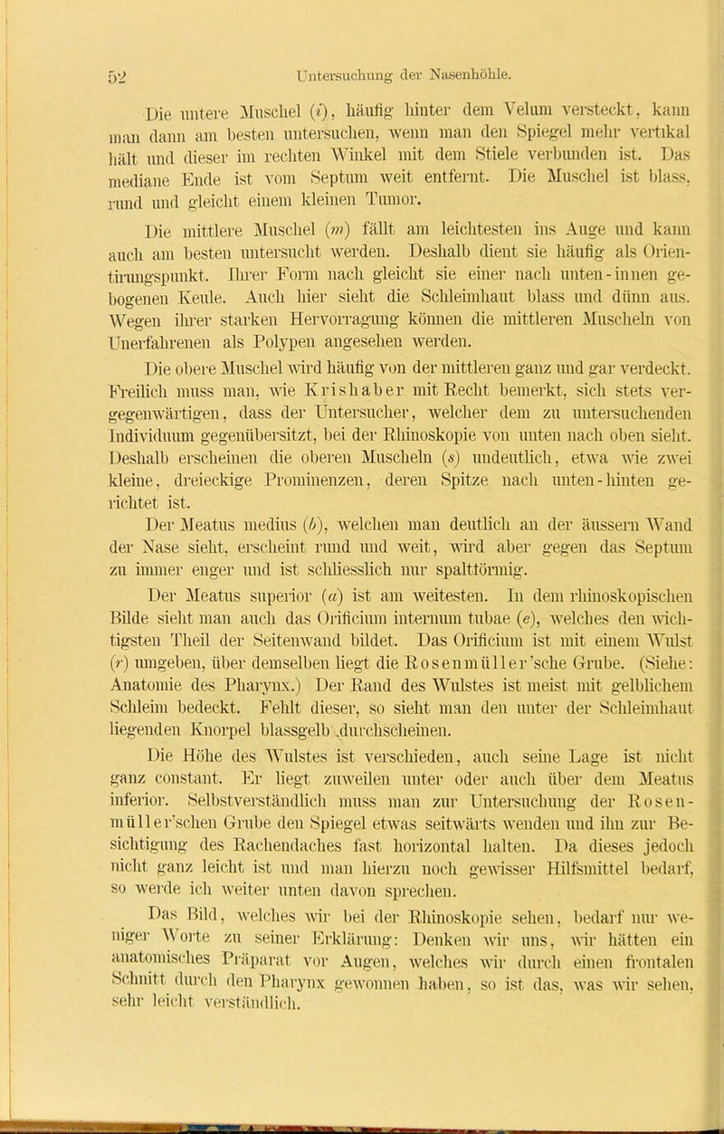 Die untere Muschel (*), häufig hinter dem Velum versteckt, kann man dann am besten untersuchen, wenn man den Spiegel mehr vertikal hält und dieser im rechten Winkel mit dem Stiele verbunden ist. Das mediane Ende ist vom Septum weit entfernt. Die Muschel ist blass, rund und gleicht einem kleinen Tumor. Die mittlere Muschel (???) fällt am leichtesten ins Auge und kann auch am besten untersucht werden. Deshalb dient sie häufig als Orien- tinmgspimkt. Ihrer Form nach gleicht sie einer nach unten-innen ge- bogenen Keule. Auch hier sieht die Schleimhaut blass und dünn aus. Wegen ihrer starken Hervorragung können die mittleren Muscheln von Unerfahrenen als Polypen angesehen werden. Die obere Muschel wird häufig von der mittleren ganz und gar verdeckt. Freilich muss man, wie Krishaber mit Recht bemerkt, sich stets ver- gegenwärtigen, dass der Untersucher, welcher dem zu untersuchenden Individuum gegenübersitzt, bei der Rhinoskopie von unten nach oben sieht. Deshalb erscheinen die oberen Muscheln (s) undeutlich, etwa wie zwei kleine, dreieckige Prominenzen, deren Spitze nach unten-hinten ge- richtet ist. Der Meatus medius (/>), welchen man deutlich an der äussera Wand der Nase sieht, erscheint rund und weit, wird aber gegen das Septum zu immer enger und ist schliesslich nur spalttörmig. Der Meatus superior («) ist am weitesten. In dem rhinoskopischen Bilde sieht man auch das Orificium interniun tubae (e), welches den wich- tigsten Theil der Seitenwand bildet. Das Orificium ist mit einem Wulst (?j umgeben, über demselben liegt die Rosenmüll er’sche Grube. (Siehe: Anatomie des Pharynx.) Der Rand des Wulstes ist meist mit gelblichem Schleim bedeckt. Fehlt dieser, so sieht man den unter der Schleimhaut liegenden Knorpel blassgelb .durchscheinen. Die Höhe des Wulstes ist verschieden, auch seine Lage ist nicht ganz constant. Er liegt zuweilen unter oder auch über dem Meatus inferior. Selbstverständlich muss man zur Untersuchung der Rosen- müller’schen Grube den Spiegel etwas seitwärts wenden und ihn zur Be- sichtigung des Rachendaches fast horizontal halten. Da dieses jedoch nicht ganz leicht ist und man hierzu noch gewisser Hilfsmittel bedarf, so werde ich weiter unten davon sprechen. Das Bild, welches wir bei der Rhinoskopie sehen, bedarf nur we- niger Worte zu seiner Erklärung: Denken wir uns, wir hätten ein anatomisches Präparat vor Augen, welches wir durch einen frontalen Schnitt durch den 1 diarynx gewonnen haben, so ist das, was wir sehen, sehr leicht verständlich.