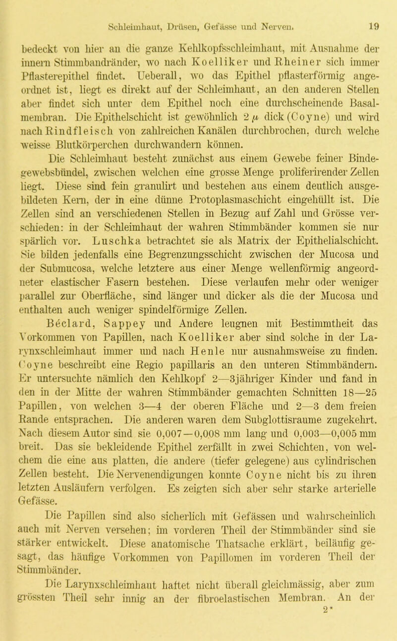 bedeckt von liier au die ganze Kehlkopfsschleimbaut, mit Ausnahme der iimern Stinmibandränder, wo nach Koel liker und Rhein er sich immer Pflasterepithel findet. Ueberall, wo das Epithel pflasterföimig ange- ordnet ist, liegt es direkt auf der Schleimhaut, an den anderen Stellen aber findet sich unter dem Epithel noch eine durchscheinende Basal- membran. Die Epithelschicht ist gewöhnlich 2 fi dick (Coyne) und wird nach Rindfleisch von zahlreichen Kanälen durchbrochen, durch welche weisse Blutkörperchen durchwandern können. Die Schleimhaut besteht zunächst aus einem Gewebe ferner Binde- gewebsbttndel, zwischen welchen eine grosse Menge proliferirender Zellen liegt. Diese sind fein granulirt und bestehen aus einem deutlich ausge- bildeten Kern, der in eme diinne Protoplasmaschicht eingehüllt ist. Die Zellen sind an verschiedenen Stellen in Bezug auf Zahl und Grösse ver- schieden: in der Schleimhaut der wahren Stimmbänder kommen sie nur spärlich vor. Luschka betrachtet sie als Matrix der Epithelialschicht. Sie bilden jedenfalls eine Begrenzungsschicht zwischen der Mucosa und der Submucosa, welche letztere aus einer Menge wellenförmig angeord- neter elastischer Fasern bestehen. Diese verlaufen mein’ oder weniger parallel zur Oberfläche, sind länger und dicker als die der Mucosa und enthalten auch weniger spindelförmige Zellen. Beclard, Sappey und Andere leugnen mit Bestimmtheit das Vorkommen von Papillen, nach Koelliker aber sind solche in der La- rynxschleimhaut immer und nach Henle nur ausnahmsweise zu finden, (’oyne beschreibt eme Regio papillaris an den unteren Stimmbändern. Er untersuchte nämlich den Kehlkopf 2—3jähriger Kinder und fand in den in der Mitte der wahren Stimmbänder gemachten Schnitten 18—25 Papillen, von welchen 3—4 der oberen Fläche und 2—3 dem freien Rande entsprachen. Die anderen waren dem Subglottisraume zugekehrt. Nach diesem Autor sind sie 0,007—0,008 mm lang und 0,003—0,005 mm breit. Das sie bekleidende Epithel zerfällt in zwei Schichten, von wel- chem die eine aus platten, die andere (tiefer gelegene) aus cylindrischen Zellen besteht. Die Nervenendigungen konnte Coyne nicht bis zu ihren letzten Ausläufern verfolgen. Es zeigten sich aber sehr starke arterielle Gefässe. Die Papillen sind also sicherlich mit Gefässen und wahrscheinlich auch mit Nerven versehen; im vorderen Theil der Stimmbänder sind sie stärker entwickelt. Diese anatomische Thatsache erklärt, beiläufig ge- sagt, das häufige Vorkommen von Papillomen im vorderen Theil der Stimmbänder. Die Larynxschleimhaut haftet nicht überall gleichmässig, aber zum grössten Theil sehr innig an der fibroelastischen Membran. An der 2*