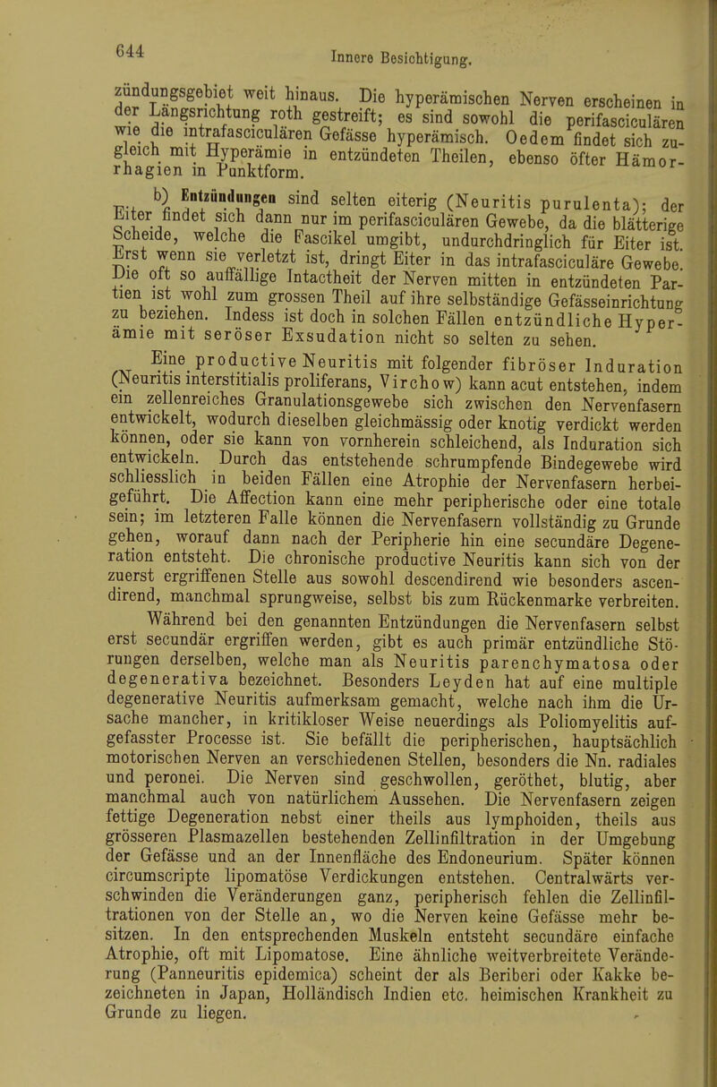 zünduLgsgebiet weit hinaus. Die hyperämischen Nerven erscheinen in der Längsrichtung roth gestreift; es sind sowohl die perifasciculären wie die mtrafascicularen Gefässe hyperämisch. Oedem findet sich zu- gleich mit Hyperämie in entzündeten Theilen, ebenso öfter Hämor- rhagien in Punktform. ^amur b) EDtzundungen sind selten eiterig (Neuritis purulenta); der ^iter findet sich dann nur im perifasciculären Gewebe, da die blätterige bcheide, welche die Pascikel umgibt, undurchdringlich für Eiter ist hrst wenn sie verletzt ist, dringt Eiter in das intrafasciculäre Gewebe' Die Ott so auffällige Intactheit der Nerven mitten in entzündeten Par- tien ist wohl zum grossen Theil auf ihre selbständige Gefässeinrichtunff zu beziehen. Indess ist doch in solchen Fällen entzündliche Hyper- amie mit seröser Exsudation nicht so selten zu sehen. Eine productive Neuritis mit folgender fibröser Induration (JNeuritismterstitialis proliferans, Virchow) kann acut entstehen, indem em zellenreiches Granulationsgewebe sich zwischen den Nervenfasern entwickelt, wodurch dieselben gleichmässig oder knotig verdickt werden können, oder sie kann von vornherein schleichend, als Induration sich entwickeln. Durch das entstehende schrumpfende Bindegewebe wird schliesslich in beiden Fällen eine Atrophie der Nervenfasern herbei- geführt. Die Affection kann eine mehr peripherische oder eine totale sein; im letzteren Falle können die Nervenfasern vollständig zu Grunde gehen, worauf dann nach der Peripherie hin eine secundäre Degene- ration entsteht. Die chronische productive Neuritis kann sich von der zuerst ergriffenen Stelle aus sowohl descendirend wie besonders ascen- dirend, manchmal sprungweise, selbst bis zum Rückenmarke verbreiten. Während bei den genannten Entzündungen die Nervenfasern selbst erst secundär ergriffen werden, gibt es auch primär entzündliche Stö- rungen derselben, welche man als Neuritis parenchymatosa oder degenerativa bezeichnet. Besonders Leyden hat auf eine multiple degenerative Neuritis aufmerksam gemacht, welche nach ihm die Ur- sache mancher, in kritikloser Weise neuerdings als Poliomyelitis auf- gefasster Processe ist. Sie befällt die peripherischen, hauptsächlich motorischen Nerven an verschiedenen Stellen, besonders die Nn. radiales und peronei. Die Nerven sind geschwollen, geröthet, blutig, aber manchmal auch von natürlichem Aussehen. Die Nervenfasern zeigen fettige Degeneration nebst einer theils aus lymphoiden, theils aus grösseren Plasmazellen bestehenden Zellinfiltration in der Umgebung der Gefässe und an der Innenfläche des Endoneurium. Später können circumscripte lipomatöse Verdickungen entstehen. Centralwärts ver- schwinden die Veränderungen ganz, peripherisch fehlen die Zellinfil- trationen von der Stelle an, wo die Nerven keine Gefässe mehr be- sitzen. In den entsprechenden Muskeln entsteht secundäre einfache Atrophie, oft mit Lipomatöse. Eine ähnliche weitverbreitete Verände- rung (Panneuritis epidemica) scheint der als Beriberi oder Kakke be- zeichneten in Japan, Holländisch Indien etc. heimischen Krankheit zu Grunde zu liegen.