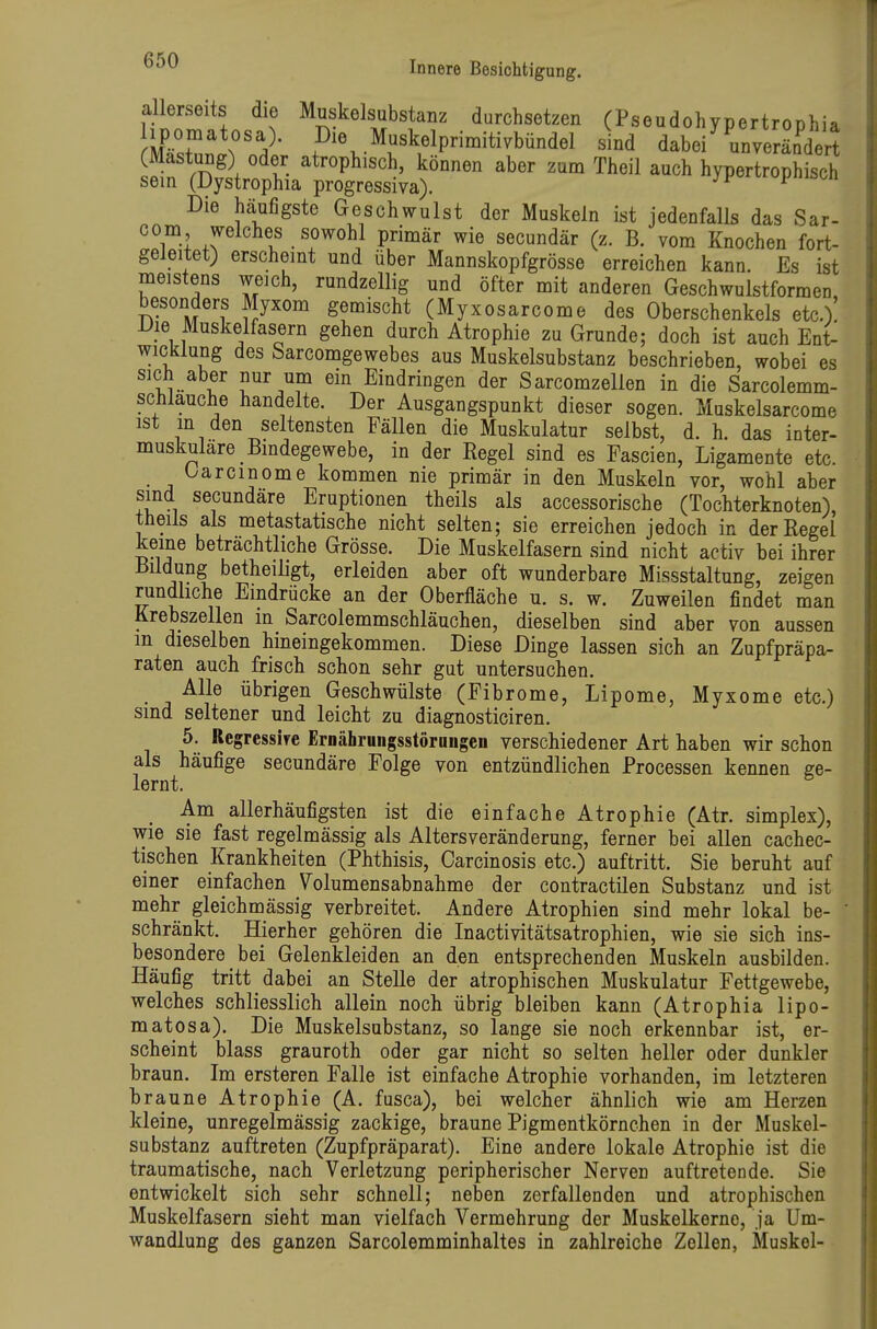 allerseits die Muskelsubstanz durchsetzen (Pseudohypertrophia IR.'r P^\.Mfkelprimitivbündel sind dabei ^unverändert (Mästung) oder atrophisch, können aber zum Theil auch hypertrophisch sein (Dystrophia progressiva). pin^on Die häufigste Geschwulst der Muskeln ist jedenfalls das Sar- com welches sowohl primär wie secundär (z. B. vom Knochen fort- geleitet) erscheint und über Mannskopfgrösse erreichen kann. Es ist meistens weich, rundzellig und öfter mit anderen Geschwulstformen besonders Myxom gemischt (Myxosarcome des Oberschenkels etc.)! Die Muskelfasern gehen durch Atrophie zu Grunde; doch ist auch Ent- wicklung des Sarcomgewebes aus Muskelsubstanz beschrieben, wobei es sich aber nur um ein Eindringen der Sarcomzellen in die Sarcolemm- schlauche handelte. Der Ausgangspunkt dieser sogen. Muskelsarcome ist m den seltensten Fällen die Muskulatur selbst, d. h. das inter- muskulare_ Bindegewebe, in der Regel sind es Fascien, Ligamente etc. Oarcmome kommen nie primär in den Muskeln vor, wohl aber sind secundäre Eruptionen theils als accessorische (Tochterknoten), theils als metastatische nicht selten; sie erreichen jedoch in der Regel kerne beträchtliche Grösse. Die Muskelfasern sind nicht activ bei ihrer Bildung betheiligt, erleiden aber oft wunderbare Missstaltung, zeigen rundliche Eindrücke an der Oberfläche u. s. w. Zuweilen findet man Krebszellen in Sarcolemmschläuchen, dieselben sind aber von aussen m dieselben hineingekommen. Diese Dinge lassen sich an Zupfpräpa- raten auch frisch schon sehr gut untersuchen. Alle übrigen Geschwülste (Fibrome, Lipome, Myxome etc.) sind seltener und leicht zu diagnosticiren. 5. Regressive Ernährungsstörniigen verschiedener Art haben wir schon als häufige secundäre Folge von entzündlichen Processen kennen ge- lernt. Am allerhäufigsten ist die einfache Atrophie (Atr. simplex), wie sie fast regelmässig als Altersveränderung, ferner bei allen cachec- tischen Krankheiten (Phthisis, Carcinosis etc.) auftritt. Sie beruht auf einer einfachen Volumensabnahme der contractilen Substanz und ist mehr gleichmässig verbreitet. Andere Atrophien sind mehr lokal be- schränkt. Hierher gehören die Inactivitätsatrophien, wie sie sich ins- besondere bei Gelenkleiden an den entsprechenden Muskeln ausbilden. Häufig tritt dabei an Stelle der atrophischen Muskulatur Fettgewebe, welches schliesslich allein noch übrig bleiben kann (Atrophia lipo- matosa). Die Muskelsubstanz, so lange sie noch erkennbar ist, er- scheint blass grauroth oder gar nicht so selten heller oder dunkler braun. Im ersteren Falle ist einfache Atrophie vorhanden, im letzteren braune Atrophie (A. fusca), bei welcher ähnlich wie am Herzen kleine, unregelmässig zackige, braune Pigmentkörnchen in der Muskel- substanz auftreten (Zupfpräparat). Eine andere lokale Atrophie ist die traumatische, nach Verletzung peripherischer Nerven auftretende. Sie entwickelt sich sehr schnell; neben zerfallenden und atrophischen Muskelfasern sieht man vielfach Vermehrung der Muskelkerne, ja Um- wandlung des ganzen Sarcolemminhaltes in zahlreiche Zollen, Muskel-