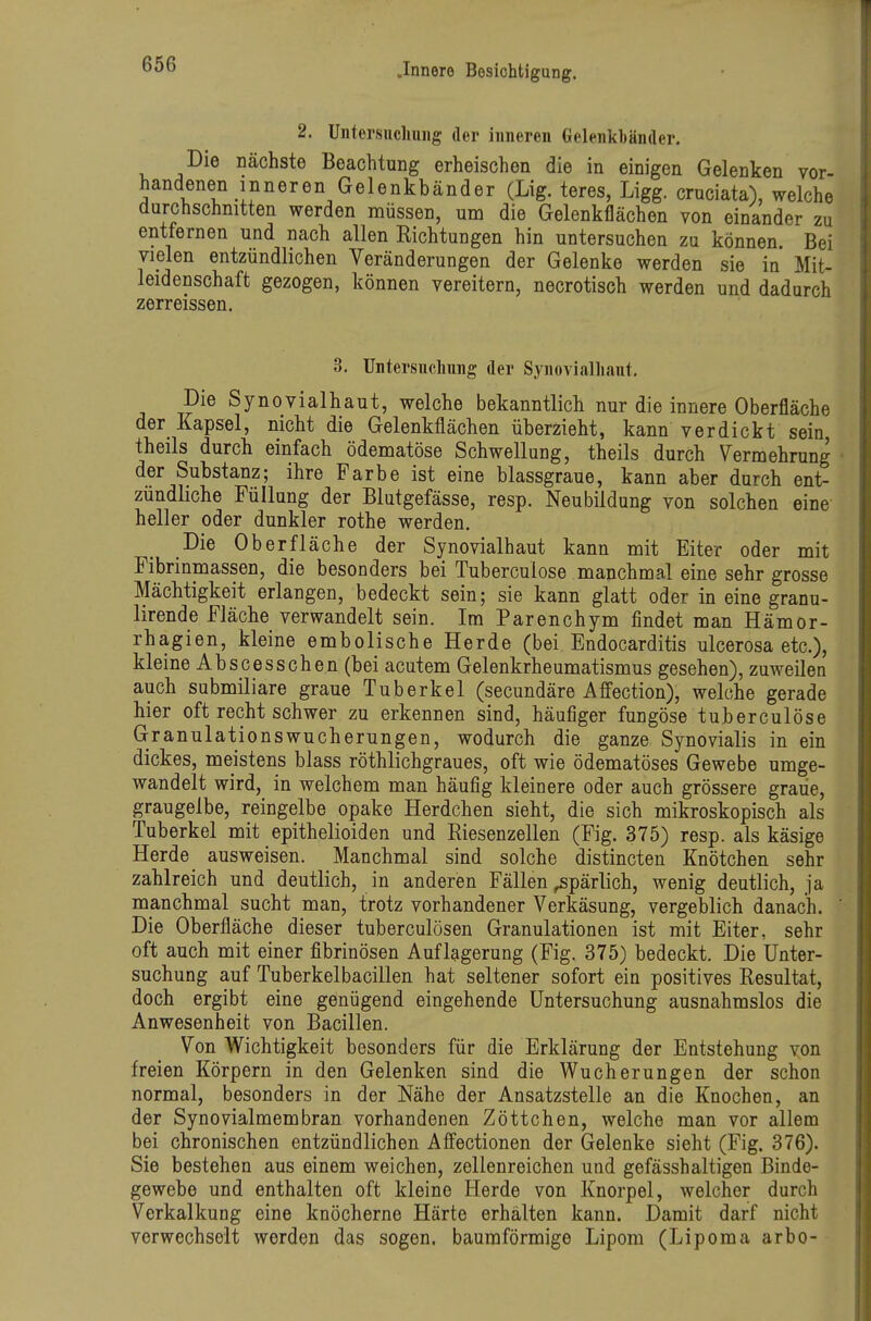 2. Untersucliuiig der inneren Gelenkbänder. Die nächste Beachtung erheischen die in einigen Gelenken vor- handenen inneren Gelenkbänder (Lig. teres, Ligg. cruciata), welche durchschnitten werden müssen, um die Gelenkflächen von einander zu entfernen und nach allen Richtungen hin untersuchen zu können. Bei vielen entzündlichen Veränderungen der Gelenke werden sie in Mit- leidenschaft gezogen, können vereitern, necrotisch werden und dadurch zerreissen. 3. üntersuclmng der Synovialliant, Die Synovial haut, welche bekanntlich nur die innere Oberfläche der_ Kapsel, nicht die Gelenkflächen überzieht, kann verdickt sein theils durch einfach ödematöse Schwellung, theils durch Vermehrung der Substanz; ihre Farbe ist eine blassgraue, kann aber durch ent- zündliche Füllung der Blutgefässe, resp. Neubildung von solchen eine heller oder dunkler rothe werden. Die Oberfläche der Synovialhaut kann mit Eiter oder mit Fibrinmassen, die besonders bei Tuberculose manchmal eine sehr grosse Mächtigkeit erlangen, bedeckt sein; sie kann glatt oder in eine granu- lirende Fläche verwandelt sein. Im Parenchym findet man Hämor- rhagien, kleine embolische Herde (bei Endocarditis ulcerosa etc.), kleine Abscesschen (bei acutem Gelenkrheumatismus gesehen), zuweilen auch submiliare graue Tuberkel (secundäre Affection), welche gerade hier oft recht schwer zu erkennen sind, häufiger fungöse tuberculöse Granulationswucherungen, wodurch die ganze Synovialis in ein dickes, meistens blass röthlichgraues, oft wie ödematöses Gewebe umge- wandelt wird, in welchem man häufig kleinere oder auch grössere graue, graugelbe, reingelbe opake Herdchen sieht, die sich mikroskopisch als Tuberkel mit epithelioiden und Riesenzellen (Fig. 375) resp. als käsige Herde ausweisen. Manchmal sind solche distincten Knötchen sehr zahlreich und deutlich, in anderen Fällen spärlich, wenig deutlich, ja manchmal sucht man, trotz vorhandener Verkäsung, vergeblich danach. Die Oberfläche dieser tuberculösen Granulationen ist mit Eiter, sehr oft auch mit einer fibrinösen Auflagerung (Fig. 375) bedeckt. Die Unter- suchung auf Tuberkelbacillen hat seltener sofort ein positives Resultat, doch ergibt eine genügend eingehende Untersuchung ausnahmslos die Anwesenheit von Bacillen. Von Wichtigkeit besonders für die Erklärung der Entstehung von freien Körpern in den Gelenken sind die Wucherungen der schon normal, besonders in der Nähe der Ansatzstelle an die Knochen, an der Synovialmembran vorhandenen Zöttchen, welche man vor allem bei chronischen entzündlichen Afltectionen der Gelenke sieht (Fig. 376). Sie bestehen aus einem weichen, zellenreichen und gefässhaltigen Binde- gewebe und enthalten oft kleine Herde von Knorpel, welcher durch Verkalkung eine knöcherne Härte erhalten kann. Damit darf nicht verwechselt werden das sogen, baumförmige Lipom (Lipoma arbo-