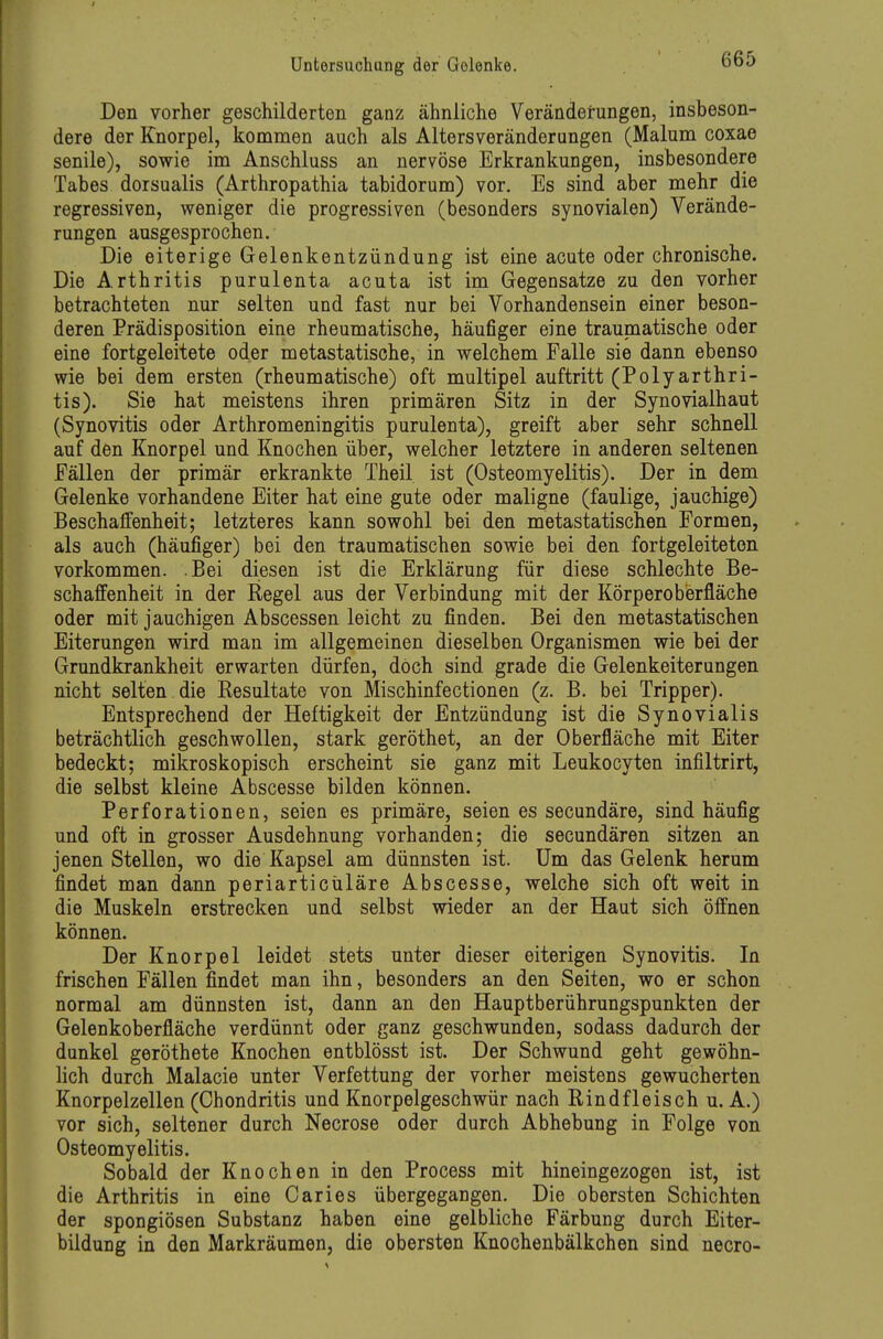 Den vorher geschilderten ganz ähnliche Veränderungen, insbeson- dere der Knorpel, kommen auch als Altersveränderungen (Malum coxae senile), sowie im Anschluss an nervöse Erkrankungen, insbesondere Tabes dorsualis (Arthropathia tabidorum) vor. Es sind aber mehr die regressiven, w^eniger die progressiven (besonders synovialen) Verände- rungen ausgesprochen. Die eiterige Gelenkentzündung ist eine acute oder chronische. Die Arthritis purulenta acuta ist im Gegensatze zu den vorher betrachteten nur selten und fast nur bei Vorhandensein einer beson- deren Prädisposition eine rheumatische, häufiger eine traumatische oder eine fortgeleitete oder metastatische, in welchem Falle sie dann ebenso wie bei dem ersten (rheumatische) oft multipel auftritt (Polyarthri- tis). Sie hat meistens ihren primären Sitz in der Synovialhaut (Synovitis oder Arthromeningitis purulenta), greift aber sehr schnell auf den Knorpel und Knochen über, welcher letztere in anderen seltenen Fällen der primär erkrankte Theil ist (Osteomyelitis). Der in dem Gelenke vorhandene Eiter hat eine gute oder maligne (faulige, jauchige) Beschaffenheit; letzteres kann sowohl bei den metastatischen Formen, als auch (häufiger) bei den traumatischen sowie bei den fortgeleiteten vorkommen. Bei diesen ist die Erklärung für diese schlechte Be- schaffenheit in der Regel aus der Verbindung mit der Körperoberfläche oder mit jauchigen Abscessen leicht zu finden. Bei den metastatischen Eiterungen wird man im allgemeinen dieselben Organismen wie bei der Grundkrankheit erwarten dürfen, doch sind grade die Gelenkeiterungen nicht selten die Resultate von Mischinfectionen (z. B. bei Tripper). Entsprechend der Heftigkeit der Entzündung ist die Synovialis beträchtlich geschwollen, stark geröthet, an der Oberfläche mit Eiter bedeckt; mikroskopisch erscheint sie ganz mit Leukocyten infiltrirt, die selbst kleine Abscesse bilden können. Perforationen, seien es primäre, seien es secundäre, sind häufig und oft in grosser Ausdehnung vorhanden; die secundären sitzen an jenen Stellen, wo die Kapsel am dünnsten ist. Um das Gelenk herum findet man dann periarticüläre Abscesse, welche sich oft weit in die Muskeln erstrecken und selbst wieder an der Haut sich öffnen können. Der Knorpel leidet stets unter dieser eiterigen Synovitis. In frischen Fällen findet man ihn, besonders an den Seiten, wo er schon normal am dünnsten ist, dann an den Hauptberührungspunkten der Gelenkoberfläche verdünnt oder ganz geschwunden, sodass dadurch der dunkel geröthete Knochen entblösst ist. Der Schwund geht gewöhn- lich durch Malacie unter Verfettung der vorher meistens gewucherten Knorpelzellen (Chondritis und Knorpelgeschwür nach Rindfleisch u. A.) vor sich, seltener durch Necrose oder durch Abhebung in Folge von Osteomyelitis. Sobald der Knochen in den Process mit hineingezogen ist, ist die Arthritis in eine Caries übergegangen. Die obersten Schichten der spongiösen Substanz haben eine gelbliche Färbung durch Eiter- bildung in den Markräumen, die obersten Knochenbälkchen sind necro-