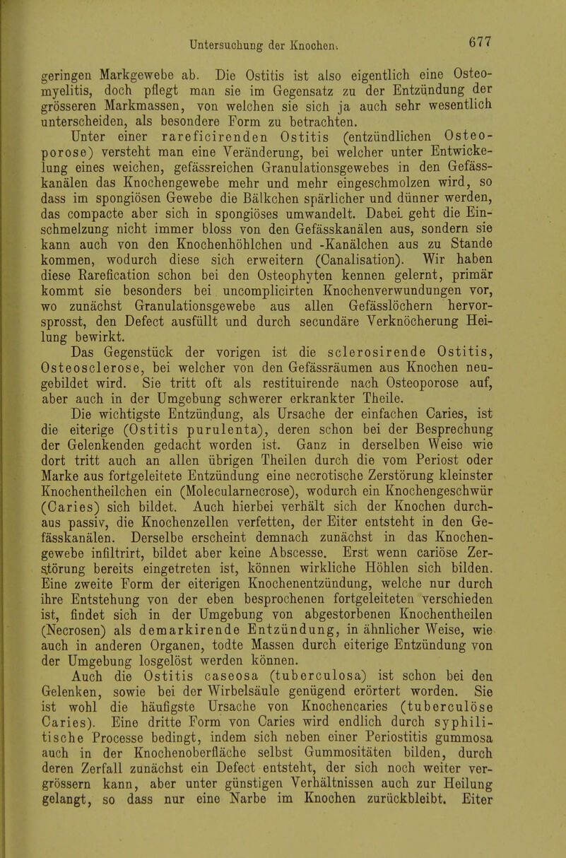 geringen Markgewebe ab. Die Ostitis ist also eigentlich eine Osteo- myelitis, doch pflegt man sie im Gegensatz zu der Entziindung der grösseren Markmassen, von welchen sie sich ja auch sehr wesentlich unterscheiden, als besondere Form zu betrachten. Unter einer rareficirenden Ostitis (entzündlichen Osteo- porose) versteht man eine Veränderung, bei welcher unter Entwicke- lung eines weichen, gefässreichen Granulationsgewebes in den Gefäss- kanälen das Knochengewebe mehr und mehr eingeschmolzen wird, so dass im spongiösen Gewebe die Bälkchen spärlicher und dünner werden, das compacte aber sich in spongiöses umwandelt. Dabei geht die Ein- schmelzung nicht immer bloss von den Gefässkanälen aus, sondern sie kann auch von den Knochenhöhlchen und -Kanälchen aus zu Stande kommen, wodurch diese sich erweitern (Oanalisation). Wir haben diese Rarefication schon bei den Osteophyten kennen gelernt, primär kommt sie besonders bei uncomplicirten Knochenverwundungen vor, wo zunächst Granulationsgewebe aus allen Gefässlöchern hervor- sprosst, den Defect ausfüllt und durch secundäre Verknöcherung Hei- lung bewirkt. Das Gegenstück der vorigen ist die sclerosirende Ostitis, Osteosclerose, bei welcher von den Gefässräumen aus Knochen neu- gebildet wird. Sie tritt oft als restituirende nach Osteoporose auf, aber auch in der Umgebung schwerer erkrankter Theile. Die wichtigste Entzündung, als Ursache der einfachen Caries, ist die eiterige (Ostitis purulenta), deren schon bei der Besprechung der Gelenkenden gedacht worden ist. Ganz in derselben Weise wie dort tritt auch an allen übrigen Theilen durch die vom Periost oder Marke aus fortgeleitete Entzündung eine necrotische Zerstörung kleinster Knochentheilchen ein (Molecularnecrose), wodurch ein Knochengeschwür (Caries) sich bildet. Auch hierbei verhält sich der Knochen durch- aus passiv, die Knochenzellen verfetten, der Eiter entsteht in den Ge- fässkanälen. Derselbe erscheint demnach zunächst in das Knochen- gewebe infiltrirt, bildet aber keine Abscesse. Erst wenn cariöse Zer- S.törung bereits eingetreten ist, können wirkliche Höhlen sich bilden. Eine zweite Form der eiterigen Knochenentzündung, welche nur durch ihre Entstehung von der eben besprochenen fortgeleiteten verschieden ist, findet sich in der Umgebung von abgestorbenen Knochentheilen (Necrosen) als demarkirende Entzündung, in ähnlicher Weise, wie auch in anderen Organen, todte Massen durch eiterige Entzündung von der Umgebung losgelöst werden können. Auch die Ostitis caseosa (tuberculosa) ist schon bei den Gelenken, sowie bei der Wirbelsäule genügend erörtert worden. Sie ist wohl die häufigste Ursache von Knochencaries (tuberculöse Caries). Eine dritte Form von Caries wird endlich durch syphili- tische Processe bedingt, indem sich neben einer Periostitis gummosa auch in der Knochenoberfläche selbst Gummositäten bilden, durch deren Zerfall zunächst ein Defect entsteht, der sich noch weiter ver- grössern kann, aber unter günstigen Verhältnissen auch zur Heilung gelangt, so dass nur eine Narbe im Knochen zurückbleibt. Eiter