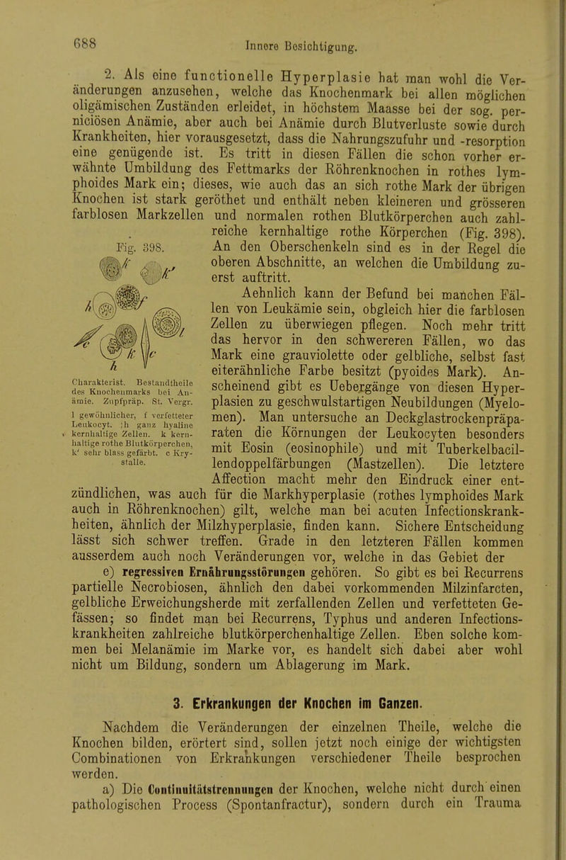 2. Als eine functionelle Hyperplasie hat man wohl die Ver- änderungen anzusehen, welche das Knochenmark bei allen möglichen oligämischen Zuständen erleidet, in höchstem Maasse bei der sog. per- niciösen Anämie, aber auch bei Anämie durch Blutverluste sowie durch Krankheiten, hier vorausgesetzt, dass die Nahrungszufuhr und -resorption eine genügende ist. Es tritt in diesen Fällen die schon vorher er- wähnte Umbildung des Fettmarks der Röhrenknochen in rothes lym- phoides Mark ein; dieses, wie auch das an sich rothe Mark der übrigen Knochen ist stark geröthet und enthält neben kleineren und grösseren farblosen Markzellen und normalen rothen Blutkörperchen auch zahl- reiche kernhaltige rothe Körperchen (Fig. 398). An den Oberschenkeln sind es in der Regel die oberen Abschnitte, an welchen die Umbildung zu- erst auftritt. Aehnlich kann der Befund bei manchen Fäl- len von Leukämie sein, obgleich hier die farblosen Zellen zu überwiegen pflegen. Noch mehr tritt das hervor in den schwereren Fällen, wo das Mark eine grauviolette oder gelbliche, selbst fast eiterähnliche Farbe besitzt (pyoides Mark). An- scheinend gibt es Uebergänge von diesen Hyper- plasien zu geschwulstartigen Neubildungen (Myelo- men). Man untersuche an Deckglastrockenpräpa- raten die Körnungen der Leukocyten besonders mit Eosin (eosinophile) und mit Tuberkelbacil- lendoppelfärbungen (Mastzellen). Die letztere Affection macht mehr den Eindruck einer ent- zündlichen, was auch für die Markhyperplasie (rothes lymphoides Mark auch in Röhrenknochen) gilt, welche man bei acuten Infectionskrank- heiten, ähnlich der Milzhyperplasie, finden kann. Sichere Entscheidung lässt sich schwer treffen. Grade in den letzteren Fällen kommen ausserdem auch noch Veränderungen vor, welche in das Gebiet der e) regressiren Ernährungsstörungen gehören. So gibt es bei Recurrens partielle Necrobiosen, ähnlich den dabei vorkommenden Milzinfarcten, gelbliche Erweichungsherde mit zerfallenden Zellen und verfetteten Ge- fässen; so findet man bei Recurrens, Typhus und anderen Infections- krankheiten zahlreiche blutkörperchenhaltige Zellen. Eben solche kom- men bei Melanämie im Marke vor, es handelt sicK dabei aber wohl nicht um Bildung, sondern um Ablagerung im Mark. 3. Erkrankungen der Knochen im Ganzen. Nachdem die Veränderungen der einzelnen Theile, welche die Knochen bilden, erörtert sind, sollen jetzt noch einige der wichtigsten Combinationen von Erkrankungen verschiedener Theile besprochen werden. a) Die Continuitätstrennungcn der Knochen, welche nicht durch einen pathologischen Process (Spontanfractur), sondern durch ein Trauma Fig. 398. Charakterist. BestaiuUheile des Kuocheumarks bei An- ämie. Zupfpräp. St. Vergr. I gewüliiilichier, f verfetteter Leiikocyt. ;li ganz hyaline < kernhaltige Zellen, k kern- haltige rothe Blutkörperchen, k' sehr blass gefärbt, c Kry- stalle.