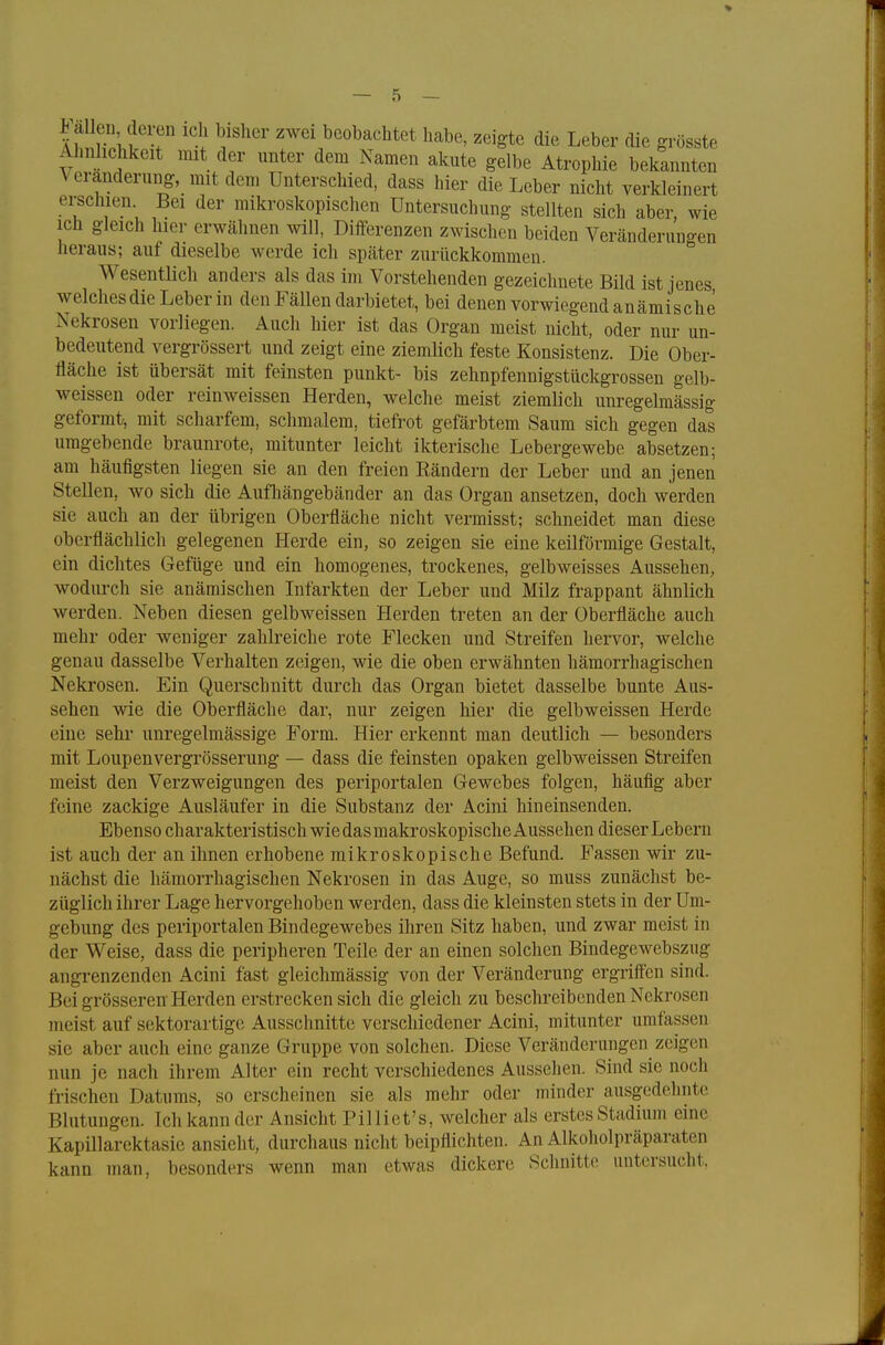 H allen deren ich bisher zwei beobachtet habe, zeigte die Leber die grösste Ähnlichkeit mit der unter dem Namen akute gelbe Atrophie bekannten ^ eranderung, mit dem Unterschied, dass hier die Leber nicht verkleinert erschien Bei der mikroskopischen Untersuchung stellten sich aber, wie ich gleich hier erwähnen will, Differenzen zwischen beiden Veränderungen heraus; auf dieselbe werde ich später zurückkommen. Wesentlich anders als das im Vorstehenden gezeichnete Bild ist jenes welches die Leber in den Fällen darbietet, bei denen vorwiegend anämische Nekrosen vorliegen. Auch hier ist das Organ meist nicht, oder nur un- bedeutend vergrössert und zeigt eine ziemlich feste Konsistenz. Die Ober- fläche ist übersät mit feinsten punkt- bis zehnpfennigstückgrossen gelb- weissen oder reinweissen Herden, welche meist ziemlich unregelmässig geformt, mit scharfem, schmalem, tiefrot gefärbtem Saum sich gegen das umgebende braunrote, mitunter leicht ikterische Lebergewebe absetzen; am häufigsten liegen sie an den freien Bändern der Leber und an jenen Stellen, wo sich die Aufhängebänder an das Organ ansetzen, doch werden sie auch an der übrigen Oberfläche nicht vermisst; schneidet man diese oberflächlich gelegenen Herde ein, so zeigen sie eine keilförmige Gestalt, ein dichtes Gefüge und ein homogenes, trockenes, gelbweisses Aussehen, wodurch sie anämischen Infarkten der Leber und Milz frappant ähnlich werden. Neben diesen gelbweissen Herden treten an der Oberfläche auch mehr oder weniger zahlreiche rote Flecken und Streifen hervor, welche genau dasselbe Verhalten zeigen, wie die oben erwähnten hämorrhagischen Nekrosen. Ein Querschnitt durch das Organ bietet dasselbe bunte Aus- sehen wie die Oberfläche dar, nur zeigen hier die gelbweissen Herde eine sehr unregelmässige Form. Hier erkennt man deutlich — besonders mit Loupenvergrösserung — dass die feinsten opaken gelbweissen Streifen meist den Verzweigungen des periportalen Gewebes folgen, häufig aber feine zackige Ausläufer in die Substanz der Acini hineinsenden. Ebenso charakteristisch wie das makroskopische Aussehen dieser Lebern ist auch der an ihnen erhobene mikroskopische Befund. Fassen wir zu- nächst die hämorrhagischen Nekrosen in das Auge, so muss zunächst be- züglich ihrer Lage hervorgehoben werden, dass die kleinsten stets in der Um- gebung des periportalen Bindegewebes ihren Sitz haben, und zwar meist in der Weise, dass die peripheren Teile der an einen solchen Bindegewebszng angrenzenden Acini fast gleichmässig von der Veränderung ergriffen sind. Bei grösseren Herden erstrecken sich die gleich zu beschreibenden Nekrosen meist auf sektorartige Ausschnitte verschiedener Acini, mitunter umfassen sie aber auch eine ganze Gruppe von solchen. Diese Veränderungen zeigen nun je nach ihrem Alter ein recht verschiedenes Aussehen. Sind sie noch frischen Datums, so erscheinen sie als mehr oder minder ausgedehnte Blutungen. Ich kann der Ansicht Pilliet's, welcher als erstes Stadium eine Kapillarektasie ansieht, durchaus nicht beipflichten. An Alkoholpräparaten kann man, besonders wenn man etwas dickere Schnitte untersucht,