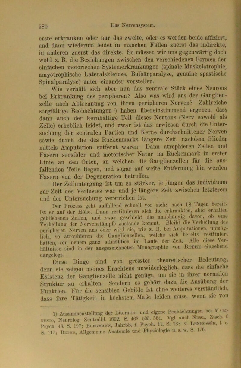 erste erkranken oder nur das zweite, oder es werden beide affiziert, und daun wiederum leidet in manchen Fällen zuerst das indirekte, in anderen zuei-st das direkte. So müssen wir uns gegenwärtig doch wohl z. B. die Beziehungen zwischen den verschiedenen Formen der einfachen motorischen Systemerkrankungen (spinale Muskelatrophie, amyotrophische Lateralsklerose, Bulbärparalyse, genuine spastische Spinalparalyse) unter einander vorstellen. Wie verhält sich aber nun das zentrale Stück eines Neurons bei Erkrankung des peripheren? Also was wird aus der Ganglien- zelle nach Abtrennung von ihren peripheren Nerven? Zahlreiche sorgfältige Beobachtungen i) haben übereinstimmend ergeben, dass dann auch der kernhaltige Teil dieses Neurons (Nerv sowohl als Zelle) erheblich leidet, und zwar ist das erwiesen durch die Unter- suchung der zentralen Partien und Kerne durchschnittener Nerven sowie durch die des Rückenmarks längere Zeit, nachdem Glieder mittels Amputation entfernt waren. Dann atrophieren Zellen und Fasern sensibler und motorischer Natur im Rückenmark in erster Linie an den Orten, an welchen die Ganglienzellen für die aus- fallenden Teile liegen, und sogar auf weite Entfernung hin werden Fasern von der Degeneration betroffen. Der Zelluntergang ist um so stärker, je jünger das Individuum zur Zeit des Verlustes war und je längere Zeit zwischen letzterem und der Untersuchung verstrichen ist. Der Prozess geht auttalleiul schnell vor sich: nach 18 Tagen bereits ist er auf der Höhe. Dann restituieren sich die erkrankten, aber erhalten gebliebenen Zellen, und zwar geschieht das unabhängig davon, ob eine Verheilung der Nervenstüm})fe zustande kommt. Bleibt die V erheilung des perii)heren Nerven aus oder wird sie, wie z. B. bei Amputationen, unmög- lich, so atrophieren die Ganglienzellen, welche sich bereits restituieit hatten, von neuem ganz albnählich im Laufe der Zeit. Alle diese \ei- hältnisse sind in der ausgezeichneten Monographie von Bethe eingehend dargelegt. Diese Dinge sind von grösster theoretischer Bedeutung, denn sie zeigen meines Erachtens unwiderleglich, dass die einfache Existenz der Ganglienzelle nicht genügt, um sie in ihrer normalen Struktur zu erhalten. Sondern es geliört dazu die Ausübung dei F'unktion. Für die sensiblen Gebilde ist ohne weiteres verständlich, dass ihre Tätigkeit in höchstem Maße leiden muss, wenn sie vou 1) Zusammenstellung der Literatur und eigene Beobachtungen bei Maki- NKSCO, Neurolog. Zentralbl. 1892. S. 46L 505. 564. Vgl. auch Nissi., Ztech. f. Psych. 48. S. 107; Bukgmann, Jalirbb. f. Psych. 11. S. 73; v. Lkxhosskk, . c. S. 117; Bethk, Allgemeine Anatomie und Physiologie u. s. w. S. D6.