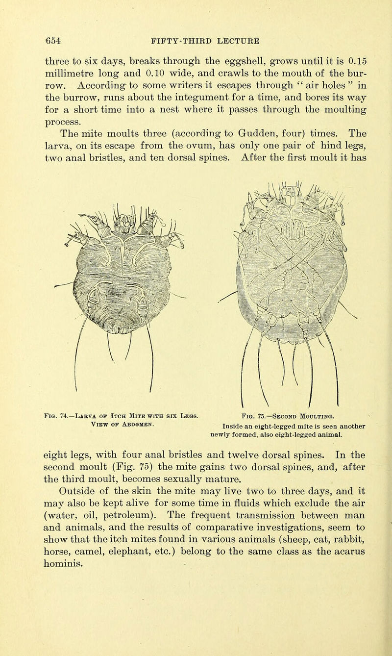 three to six days, breaks through the eggshell, grows until it is 0.15 millimetre long and 0.10 wide, and crawls to the mouth of the bur- row. According to some writers it escapes through  air holes in the burrow, runs about the integument for a time, and bores its way for a short time into a nest where it passes through the moulting process. The mite moults three (according to Gudden, four) times. The larva, on its escape from the ovum, has only one pair of hind legs, two anal bristles, and ten dorsal spines. After the first moult it has Fig. 4.—LiBVA op Itch Mite with six Less. Fig. 75.—Second Moulting. WiEW OP Abdomen. Inside an eight-legged mite is seen another newly formed, also eight-legged animal. eight legs, with four anal bristles and twelve dorsal spines. In the second moult (Fig. 75) the mite gains two dorsal spines, and, after the third moult, becomes sexually mature. Outside of the skin the mite may live two to three days, and it may also be kept alive for some time in fluids which exclude the air (water, oil, petroleum). The frequent transmission between man and animals, and the results of comparative investigations, seem to show that the itch mites found in various animals (sheep, cat, rabbit, horse, camel, elephant, etc.) belong to the same class as the acarus hominis.