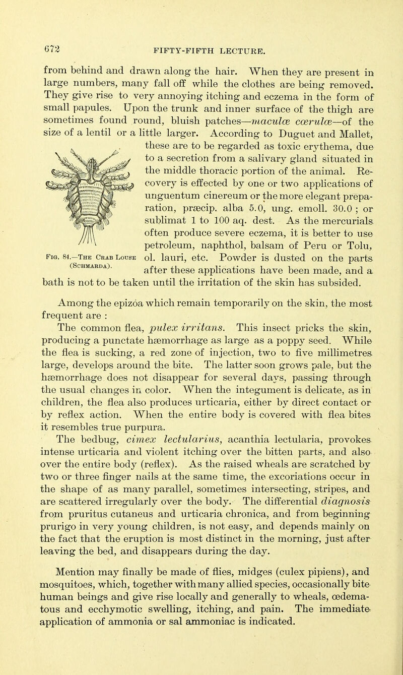 from behind and drawn along the hair. When they are present in large numbers, many fall ofif while the clothes are being removed. They give rise to very annoying itching and eczema in the form of small papules. Upon the trunk and inner surface of the thigh are sometimes found round, bluish patches—J/mcwte ccerulce—oi the size of a lentil or a little larger. According to Duguet and Mallet, these are to be regarded as toxic erythema, due to a secretion from a salivary gland situated in the middle thoi'acic portion of the animal. Re- covery is effected by one or two applications of unguentum cinereum or the more elegant prepa- ration, prsecip. alba 5.0, ung. emoll. 30.0; or sublimat 1 to 100 aq. dest. As the mercurials, often produce severe eczema, it is better to use petroleum, naphthol, balsam of Peru or Tolu, Fig. 84.-THE Ckab Louse ol. lauri, etc. Powder is dusted on the parts (ScHMARDA). after these applications have been made, and a bath is not to be taken until the irritation of the skin has subsided. Among the epizoa which remain temporarily on the skin, the most frequent are : The common flea, pulex irritans. This insect pricks the skin, producing a punctate haemorrhage as large as a poppy seed. While the flea is sucking, a red zone of injection, two to five millimetres, large, develops around the bite. The latter soon grows pale, but the haemorrhage does not disappear for several days, passing through the usual changes in color. When the integument is delicate, as in children, the flea also produces urticaria, either by direct contact or by reflex action. When the entire body is covered with flea bites it resembles true purpura. The bedbug, cimex lectularius, acanthia lectularia, provokes, intense urticaria and violent itching over the bitten parts, and also over the entire body (reflex). As the raised wheals are scratched by two or three flnger nails at the same time, the excoriations occur in the shape of as many parallel, sometimes intersecting, stripes, and are scattered irregularly over the body. The differential diagnosis from pruritus cutaneus and urticaria chronica, and from beginning prurigo in very young children, is not easy, and depends mainly on the fact that the eruption is most distinct in the morning, just after leaving the bed, and disappears during the day. Mention may finally be made of flies, midges (culex pipiens), and mosquitoes, which, together with many allied species, occasionally bite human beings and give rise locally and generally to wheals, oedema- tous and ecchymotic swelling, itching, and pain. The immediate^ application of ammonia or sal ammoniac is indicated.