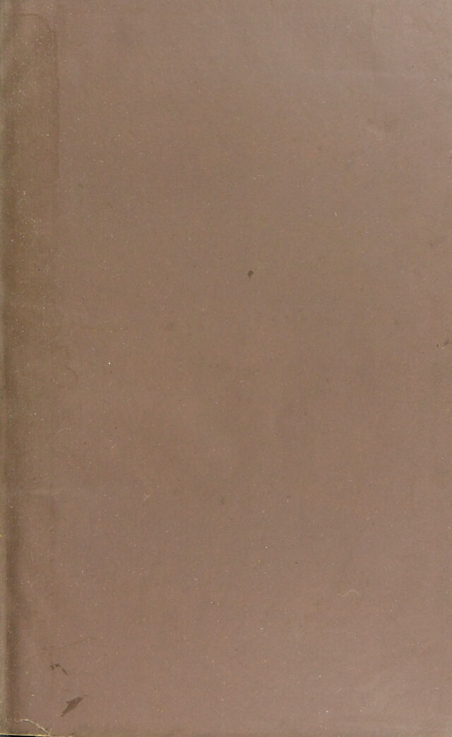 digitised image 3