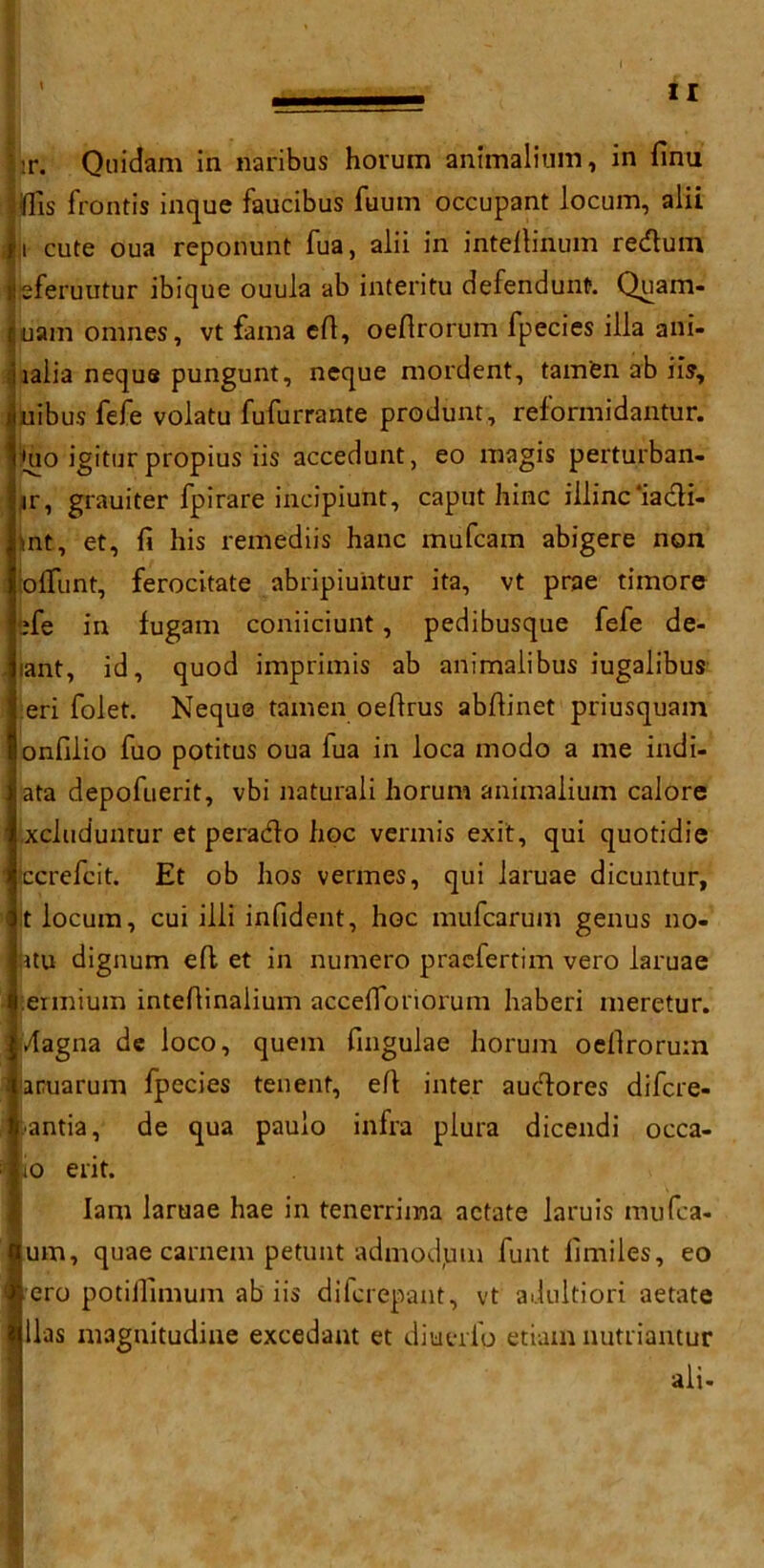 : :r. Quidam in naribus horum animalium, in (inti ■KTis fronds inque faucibus fuum occupant locum, alii ii cute oua reponunt fua, alii in intellinum reduin jeferuutur ibique ouula ab interitu defendunt. Quam- juam omnes, vt fama eft, oeftrorum fpecies ilia ani- lialia neque pungunt, neque mordent, tam'en ab iis, liuibus fefe volatu fufurrante produnt, reform!dantur. i|no igitur propius iis accedunt, eo magis perturban- ■jr, grauiter fpirare incipiunt, caput hinc iilinc‘iadi- int, et, ft his remediis hanc mufcam abigere non olTunt, ferocitate abripiuhtur ita, vt prae timore ife in fugam coniiciunt, pedibusque fefe de- lant, id, quod imprimis ab animalibus iugalibus I eri folet. Neque tamen oeftrus abftinet priusquam onftlio fuo potitus oua fua in loca modo a me indi- (ata depofuerit, vbi naturali horum animalium calore xcluduntur et perado hoc vermis exit, qui quotidie ccrefcit. Et ob hos vermes, qui laruae dicuntur, t locum, cui illi infident, hoc mufcarum genus no* 4tu dignum eft et in numero praefertim vero laruae eimium inteftinaiium acceftoriorum haberi meretur. dagna de loco, quern fingulae horum oeftrorum aruarum fpecies tenent, eft inter auclores difcre- ■antia, de qua paulo infra plura dicendi occa- io erit. Iam laruae hae in tenerrima actate laruis mufca- um, quae carnem petunt admodjum funt limiles, eo ero potiftimum ab iis difcrepant, vt adultiori aetate lias magnitudine excedant et diuerfo etiam nutriantur ali-