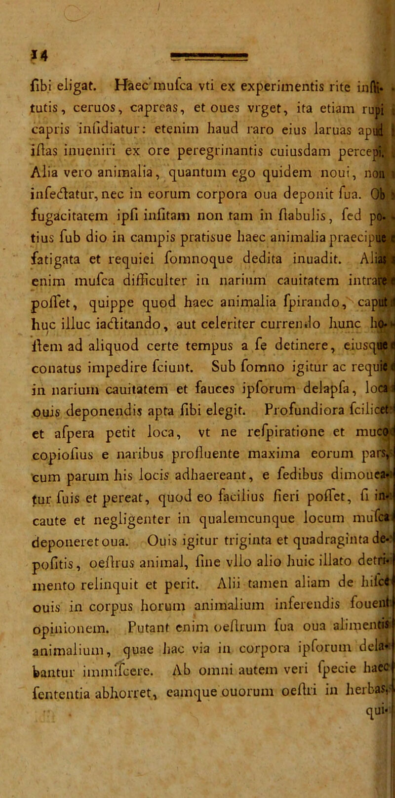 I 14 fibi eiigat. Haec mutca vti ex experiinentis rite infti* tutis, ceruos, capreas, et oues vrget, ita etiam rupi capris inlidiatur: etenim baud raro eius laruas apud : iAas inueniri ex ore peregrinantis cuiusdam percepi. Alia vero animalia, quantum ego quidem noui, noil t infedatur, nec in eorum corpora oua deponit fua. Ob s fugacitauem ipfi infitam non tarn in flabulis, fed po-> tius fub dio in campis pratisue haec animalia praecip fatigata et requiei fomnoque dedita inuadit. Al enim mufca difhculter in narium cauitatem intrai poffet, quippe quod haec animalia fpirando, capul hue illuc iaditando, aut celeriter currendo hunc h / w Aem ad aliquod certe tempus a fe detinere, eiusqtttd conatus impedire feiunt. Sub fomno igitur ac requie; in narium cauitatem et fauces ipforum delapfa, locii Ouis deponendis apta fibi elegit. Profundiora feilicet* et afpera petit loca, vt ne refpiratione et muco< rs* copiolius e naribus proiluente maxima eorum pars, cum parum his locis adhaereant, e fedibus dimouea«i tur fuis et pereat, quod eo facilius fieri poffet, A in*' caute et negligenter in qualemcunque locum mufca deponeretoua. Ouis igitur triginta et quadraginta de- pofitis, oeArus animal, line vllo alio huic illato detri* mento relinquit et perit. Alii tamen aliam de liil'ci ouis in corpms horum animalium inferendis fouent opinionem. Putant enim oeArum fua oua alimenWi animalium, quae Jiac via in corpora ipforum dela* bantur immffccre. Ab omni autem veri fpecie haec fententia abhorret, camque ouorum oeAri in herbas,- . qui*