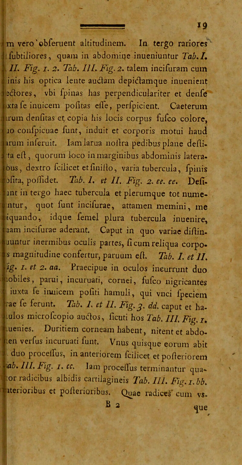 m vero'©bferuent altitudinem. In tergo rariores fubtiliores, quam in abdomii?e inueniuntur Tab. I. II. Fig. i. 2. Tab. III. Fig. 2. talem incifuram cum inis his optica lente audtam depidlamque inuenient bdores, vbi fpinas has perpendiculariter et denfe ^xta le inuicem pofitas efle, perfpicient. Caeterutn irum denfitas et, copia his iocis corpus fufco colore, jo confpicuae hunt, induit et corporis motui baud arum inferuit. Iamlarua noAra pedibus plane deAi- ta eA , quorum loco inniarginibus abdominis latera- ibus, dextro fcilicet etfiniAo, varia tubercula, fpinis a lira, poflidet. Tab. I. et II. Fig. 2. ee. ee. Defi- jnt in tergo haec tubercula etplerumque tot nume- ntur, quot funt incifurae, attamen memini, me Iquando, idque femel plura tubercula inuenire, iam incifurae aderant. Caput in quo variae diAin- juntur inermibus oculis partes, ficumreliqua corpo- s magnitudine confertur, paruum eA. Tab. I. et II. ig. i. et 2. aa. Praecipue in oculos ineurrunt duo jiobiles, parui, incuruati, cornei, fufco nigricantes iu*ta fe inuicem pofiti hamuli, qui vnci fpeciem rae fe ferunt. Tab. 1. et II. Fig.3. dd. caput et' ha- Lulos microfcopio audios, ficuti hos Tab. Ill. Fig. j. fuenies. Duritiem corneam habent, nitent et abdo- en verfus incuruati funt. Vnus quisque eorum abit duo proceifus, in anteriorem fcilicet et poAeriorem db. III. Fig. 1. cc. Iam proceflus terminantur qua* tor radicibus albidis cartilagineis Tab. III. Fig.i.bb. iterioribus et poAenoribus. Quae radices' cum vs- ^ 2 que