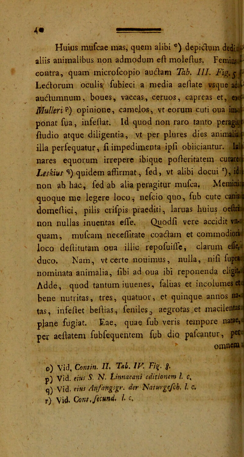 4« Huius mufcae mas, quern alibi ®) depidum dedUtf1 aliis animalibus non admodum eft moleftus. FemiajJ- contra, quam microfcopio audam Tab. III. Fig.j.P Ledorum oculist fubieci a media aeftate vsque adaf- audumnum, boues, vaccas, ceruos, capreas et, eitf» fflulleri p) opinione, camelos, vt eorum cuti oua ira-.. ponat fua, infeflat. Id quod non raro tanto peragit ftudio atque diligentia, vt per plures dies animalii : ilia perfequatur, fiimpedimenta ipft obiiciantur. nares equorum irrepere ibique pofteritatem cuEaref Leskius q) quidem affirmat, fed, vt alibi docui r), id: non ab hac, fed ab alia peragitur mufca. Memir quoque me legere loco, nefcio quo, fub cute canis domeftici, pilis crifpis praediti, laruas huius oe non nullas inuentas efle, Quodfi vere accidit va-i> quam, mufcam neeeftitate coadam et commodiorid loco deftitutam oua iilic repofuifle, clarum eftfe,* duco. Mam, vt certe nouimus, nulla, nifi fupMt nominata animalia, fibi ad oua ibi reponenda eligiW Adde, quod tantum iuuenes, faluas et incolumes et< bene nutritas, tres, quatuor, et quinque annos m tas, infeftet beftias, feniles a aegrotas et macileptass plane fugiat. Eae, quae fub veris tempore natae,< per aeftatem fubfequentem fub dio pafcantur, peE; omneiu o) Vid, Contin■ IF Tab. IF. Fig. g. p) Vid. eius S. N. thmacani editionem l e, q) Vid. tins Anfingsgr. der Nawgefeh, l c. r) Vid. Cant, fecund, l c.