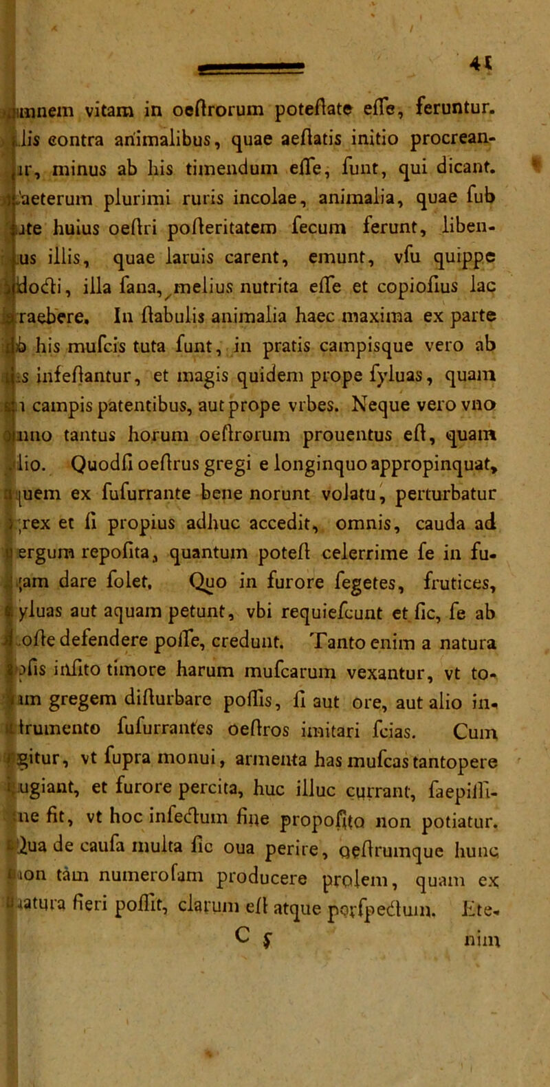 lunnem vitara in oeftrorum poteftate efle, feruntur. Jis contra ariimalibus, quae aeftatis initio procrean- ir, minus ab his timendum efie, funt, qui dicant. l.'aeterum plurimi ruris incolae, animalia, quae Tub ite huius oeftri pofteritatem fecum ferunt, liben- us illis, quae laruis carent, emunt, vfu quippe i do&i, ilia fana, melius nutrita efte et copiofius lac •3 raebere. In llabulis animalia haec maxima ex parte db his mufcis tuta funt, in pratis campisque vero ab las infeftantur, et magis quidem prope fyluas, quam K 1 campis patentibus, aut prope vibes. Neque verovno ) lino tantus horum oeftrorum prouentus eft, quam . lio. Quodfi oeftrus gregi e longinquo appropinquat, ![uem ex fufurrante bene norunt voJatu, perturbatur ;rex et ft propius adliuc accedit, omnis, cauda ad i! ergum repofita, quantum poteft celerrime fe in fu- ;am dare folet. Quo in furore fegetes, frutices, yluas aut aquam petunt, vbi requiefcunt et fic, fe ab oftedefendere polfe, credunt. Tantoenim a natura ofis inftto timore harum mufcarum vexantur, vt to- im gregem difturbare poflis, ft aut ore, aut alio in, liniment© fufurrantes oeftros imitari fcias. Cum i gitur, vt fupra monui, armenta has mufcas tantopere i. ugiant, et furore percita, hue illuc currant, faepiift- :ne fit, vt hoc inlecftum fine propoffto non potiatur. iQua de caufa multa fic oua perire, oeftrumque hunc uion tarn numerofam producere prolem, quam ex piatma fieri poflit, datum eft atque porfpedum. Lite, C $■ nixn