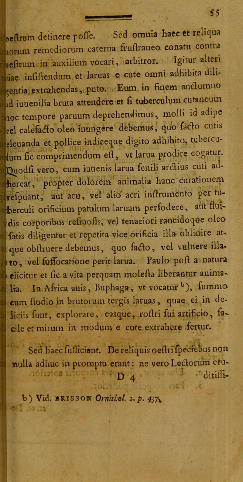 oeftrum detinere polTe. Sed omnia haec et reliqua lorum remediorum caterua fruftraneo conatu contra aeftrum in auxilium vocari, arbitror. Igitur alteri ,fiae- infiftendum et lamas e cute omni adhibita diii- i'entia extrahendas, puto. Eum in finem audumno id iuuenilia bruta attendere et fi tubercuium cutaneum ioc tempore paruum deprehendimus, molli id adipe ?el calefado oleo inungere debemus, quo fado cutis fteuanda et poilice indiceque digito adhibito, tubercu- ium fic comprimendum eft, vt larua prodire cogatur. Quodft vero, cum iuuenis larua fenili ardius cuti ad- ■hereat, propter dolorem ahimalia hanc curationem Irefpuant, aut acu, vel alib acri inftrumento per tu- berculi orificium patuluin laruam perfodere, aut ftui- dis corporibus reftuofis, vel tenaciori rancidoque oleo fatis diiigenter et repetita vice orificia ilia oblinire at- que obftruere debemus, quo fado, vel vulnere illa- ! to, vel fufFocatione perit larua. Paulo poft a natura i eiicitur et fic a vita perquam molefta liberantur anima- lia. In Africa auis, Ruphaga, vt vocatur b), fummo cum ftudio in brutorum tergis laruas, quae ei in de- liciis funt, explorare, easque, roftri fui aitificio, fa- cile et mirum in mod-tun e cute extrahere fertur. • • * K o. i | i • z*t • i - “i *' » Sed Haec fufKciant. De reliquis oeftrifpecrebus non nulla adhuc in promptu erant: ne vero Ledorum eru- - D 4 v * ■’ ditifti- V 7 fIfc i • £ b) Vid. brisson Ornithol z.p.