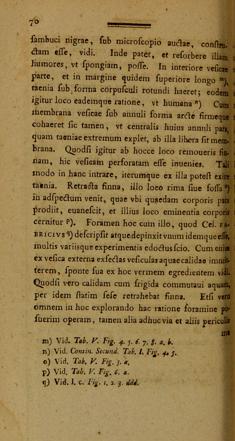 fambuci mgrae, fab microfcopio auclac, conftpu. dam efTe, vidi. Inde patet, et reforbere ilkm » humores, vt fpongiam, po/Te. In interiore veficae * parte, et in margine quidem fuperiore longo *■), . taenia fub: forma corpufcuii rotundi haeret; eodem » igitur loco eademque ratione, vt humana ). Cum t membrana veficae fub annuli forma arde firmequc ; cohaeret lie tamen, vt centralis Jiuius annuli pan, , quam taeniae extremum explet, ab ilia libera fit mem. ■ brana. Quodfi igitur ab hocce loco remoueris fin- ■ nam, hie veficam perforatam efTc inuenies. Tali modo in hanc intrare, iterumque ex ilia potefl exire : taenia. Retrada finna, illo loco rima flue fofla °) in adfpedum venit,, quae vbi quaedam corporis pars i prodiit, euanefeit, et illius loco eminentia corporis i cernitur p). Foramen hoc cum illo, quod Cel. fa- ■ BRicivs3) deferipfit atquedepinxitvnum idemqueefle, multis variisque experimentis edodusfeio. Cumenim i exvefica externa exfedas veficulas aquae calidaa imniit* terem , fponte fua ex hoc vermem egredientem vidi. Quodfi vero calidam cum frigida commutaui aquam, per idem flatim fefe retrahebat finna. Etfi vero omnem in hoc explorando hac ratione foramine po- fuerim operam, tamen alia adhuevia et aliis periculis in* m) Vid. Tab. V. Fig. 4. j. 6. 7, g. a. b. n) Vid. Com in. Secutid. Tab. 1. Fio, 4, j. o) Vid. Tab, V. Fig. j. a. p) Vid. Tab. V. Fig. 6. a. q) Vid. J. c. Fig. 1. 3. 3. ddi.