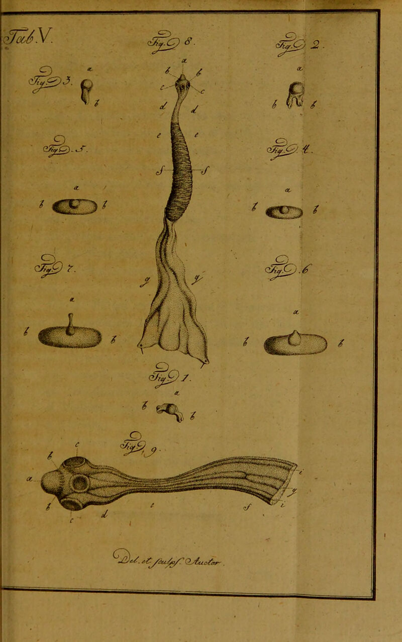 Q)< r. : Cj Ots 6 $$ / Q0& f. €E> / C) QJicf(2j . ^ OL C) e^g).