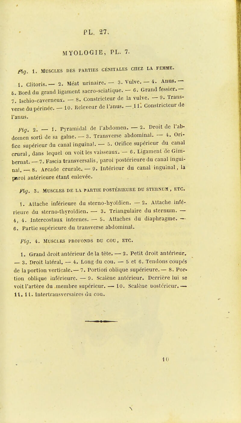 MYOLOGIE, PL. 7. fiig. 1. MDSCLES DES PARTIES GÉNITALES CHEZ LA FEMME. 1. Clitoris.— 2. Méat urinaire. — 3. Vulve. — 4. Anus.— 6. Bord du grand ligament sacro-sciatique. - 6. Grand fessier.— 7. ischio-caverneux. - 8. Constricteur de la vulve. - 9. Trans- verse du périnée. - 10. Releveur de l'anus, -.ir. Constricteur de l'anus. Fig. 2. — 1. Pyramidal de l'abdomen. —2. Droit de l'ab- domen sorti de sa gaine. —3. Transverse abdominal. — 4. Ori- fice supérieur du canal inguinal. — □. Orifice supérieur du canal crural, dans lequel on voit les vaisseaux. — 6. Ligament de Gim- bernat. — 7. Fascia transversalis, paroi postérieure du canal ingui- nal. — 8. Arcade crurale. — 9. Intérieur du canal inguinal, la paroi antérieure étant enlevée. Fi(j. 3. Muscles de la partie postérieure du sternu.ti , etc. 1. Attache inférieure du sterno-hyoïdien. —2. Attache infé- rieure du sterno-thyroidien. — 3. Triangulaire du sternum. — 4, 4. Intercostaux internes. — 5. Attaches du diaphragme. —- 6. Partie supérieure du transverse abdominal. Fig. 4. Muscles profonds du cou, etc. 1. Grand droit antérieur de la tète. — 2. Petit droit antérieur. — 3. Droit latéral. — 4. Long du cou. — 5 et 6. Tendons coupés de la portion verticale.— 7. Portion oblique supérieure. - 8. Por. tion oblique inférieure. — 9. Scaiène antérieur. Derrière lui se voit l'artère du membre supérieur. — 10. Scalùne Dostérieur.— 11. 11. Interlransvcrsaires du cou. 10