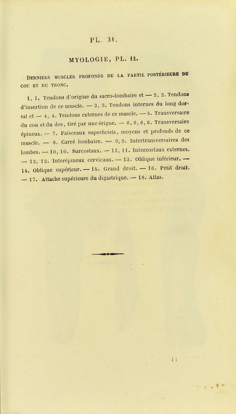 MYOLOGIE, PL. 11. DERNIERS MUSCLES PROFONDS DE LA PARTIE POSTÉRIEURE DO COC ET DO TRONC. 1,1. Tendons d'origine du sacro-lombaire et — 2, 2. Tendons d'iulertion de ce muscle. - 3, 3. Tendons internes du long dor- sal et — 4, 4. Tendons externes de ce muscle. — 5. Transversaire du cou et du dos, tiré par uneérigne. -0,6,6,6. Transversaire épineux. — 7. Faisceaux superficiels, moyens et profonds de ce muscle. — 8. Carré lombaire. — 9, 9. Intertransversaires des lombes.— 10, 10. Surcostaux. — 11, 11. Intercostaux externes. — 12, 12. Interépmeux cervicaux. — 13. Oblique inférieur.— 14. Oblique supérieur. — 15. Grand droit. — 16. Petit droit. — 17. Attache supérieure du digastrique. — 18. Atlas.