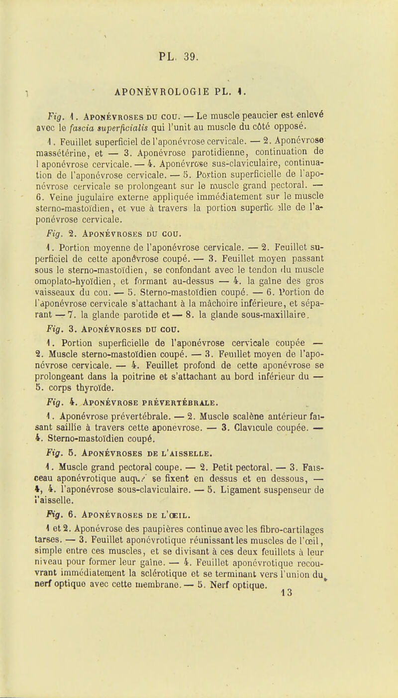 APONÉVROLOGIE PL. I. Fig. 1. Aponévroses du cou. — Le muscle peaucier est enlevé avec le fascia superfwialis qui l'unit au muscle du côté opposé. 4. Feuillet superficiel de l'aponévrose cervicale. —2. Aponévrose massétérine, et — 3. Aponévrose parotidienne, continuation de I aponévrose cervicale. — 4. Aponévrose sus-claviculaire, continua- tion de l'aponévrose cervicale. — o. Povtion superficielle de l'apo- névrose cervicale se prolongeant sur le muscle grand pectoral. — 6. Veine jugulaire externe appliquée immédiatement sur le muscle sterno-mastoïdien, et vue à travers la portio.n superfic îlle de l'a- ponévrose cervicale. Fig. 2. Aponévroses du cou. 1. Portion moyenne de l'aponévrose cervicale. — 2. Feuillet su- perficiel de cette aponévrose coupé. — 3. Feuillet moyen passant sous le sterno-mastoïdien, se confondant avec le tendon du muscle omoplato-hyoïdien, et formant au-dessus — 4. la gaine des gros vaisseaux du cou. — 5. Sterno-mastoïdien coupé. — 6. Portion de l'aponévrose cervicale s'attachant à la mâchoire inférieure, et sépa- rant — 7. la glande parotide et— 8. la glande sous-maxillaire. Fig. 3. Aponévroses du cou. 1. Portion superficielle de l'aponévrose cervicale coupée — 2. Muscle sterno-mastoïdien coupé. — 3. Feuillet moyen de l'apo- névrose cervicale. — 4. Feuillet profond de cette aponévrose se prolongeant dans la poitrine et s'attachant au bord inférieur du — S. corps thyroïde. Fig. 4. Aponévrose prévertébrale. 1. Aponévrose prévertébrale. — 2. Muscle scalène antérieur fai- sant saillie à travers cette aponévrose. — 3. Clavicule coupée. — 4. Sterno-mastoïdien coupé. Fig. 5. Aponévroses de l'aisselle. 1. Muscle grand pectoral coupe. — 2. Petit pectoral. — 3. Fais- ceau aponévrotique auqv/ se fixent en dessus et en dessous, — 4, 4. l'aponévrose sous-claviculaire. — 5. Ligament suspenseur de S'aisselle. Pig, 6. Aponévroses de l'oeil. 1 et 2. Aponévrose des paupières continue avec les fibro-cartilages tarses. — 3. Feuillet aponévrotique réunissant les muscles de l'œil, simple entre ces muscles, et se divisant à ces deux feuillets à leur niveau pour former leur gaine. — 4. Feuillet aponévrotique recou- vrant immédiatement la sclérotique et se terminant vers l'union du nerf optique avec cette membrane.— 5. Nerf optique. *