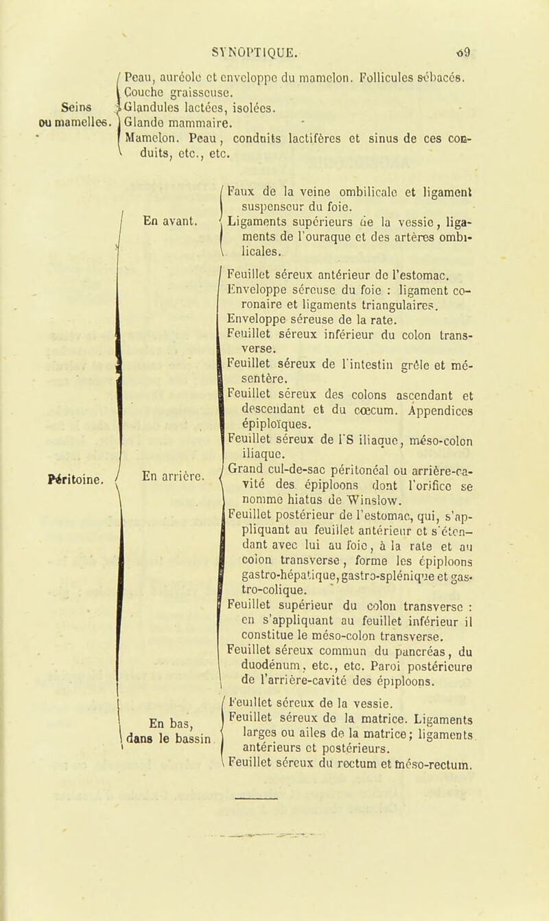 ■ Peau, auréole et enveloppe du mamelon. Follicules s-ébacés. Couche graisseuse. Seins iGlandules lactées, isolées, ou mamellee. j Glande mammaire. Mamelon. Peau, conduits lactifères et sinus de ces con- duits, etc., etc. En avant. Péritoine. En arrière. , En bas, 1 dans le bassin Faux de la veine ombilicale et ligament suspenscur du foie. Ligaments supérieurs àe la vessie, liga- ments de l'ouraque et des artères ombi- licales. Feuillet séreux antérieur do l'estomac. Enveloppe séreuse du foie : ligament co- ronaire et ligaments triangulaires. Enveloppe séreuse de la rate. Feuillet séreux inférieur du colon trans- verse. Feuillet séreux de l'intestin grêle et mé- sentère. Feuillet séreux des colons ascendant et descendant et du ccecum. Appendices épiploïques. Feuillet séreux de 1 S iliaque, méso-colon iliaque. Grand cul-de-sac péritonéal ou arrière-ca- vité des épiploons dont rorifico se nomme hiatus de Winslow. Feuillet postérieur de l'estomao, qui, s'ap- pliquant au feuillet antérieur et s'clci- dant avec lui au foie, à la raie et au colon transverse, forme les épiploons gastro-hépatique, gastro-splénique et gas- tro-colique. Feuillet supérieur du colon transversc : en s'appliquant au feuillet inférieur il constitue le méso-colon transverse. Feuillet séreux commun du pancréas, du duodénum, etc., etc. Paroi postérieure de l'arrière-cavité des épiploons. 'Feuillet séreux de la vessie. Feuillet séreux de la matrice. Ligaments larges ou ailes de la matrice; ligaments antérieurs et postérieurs. 1 Feuillet séreux du rectum et méso-rectum.