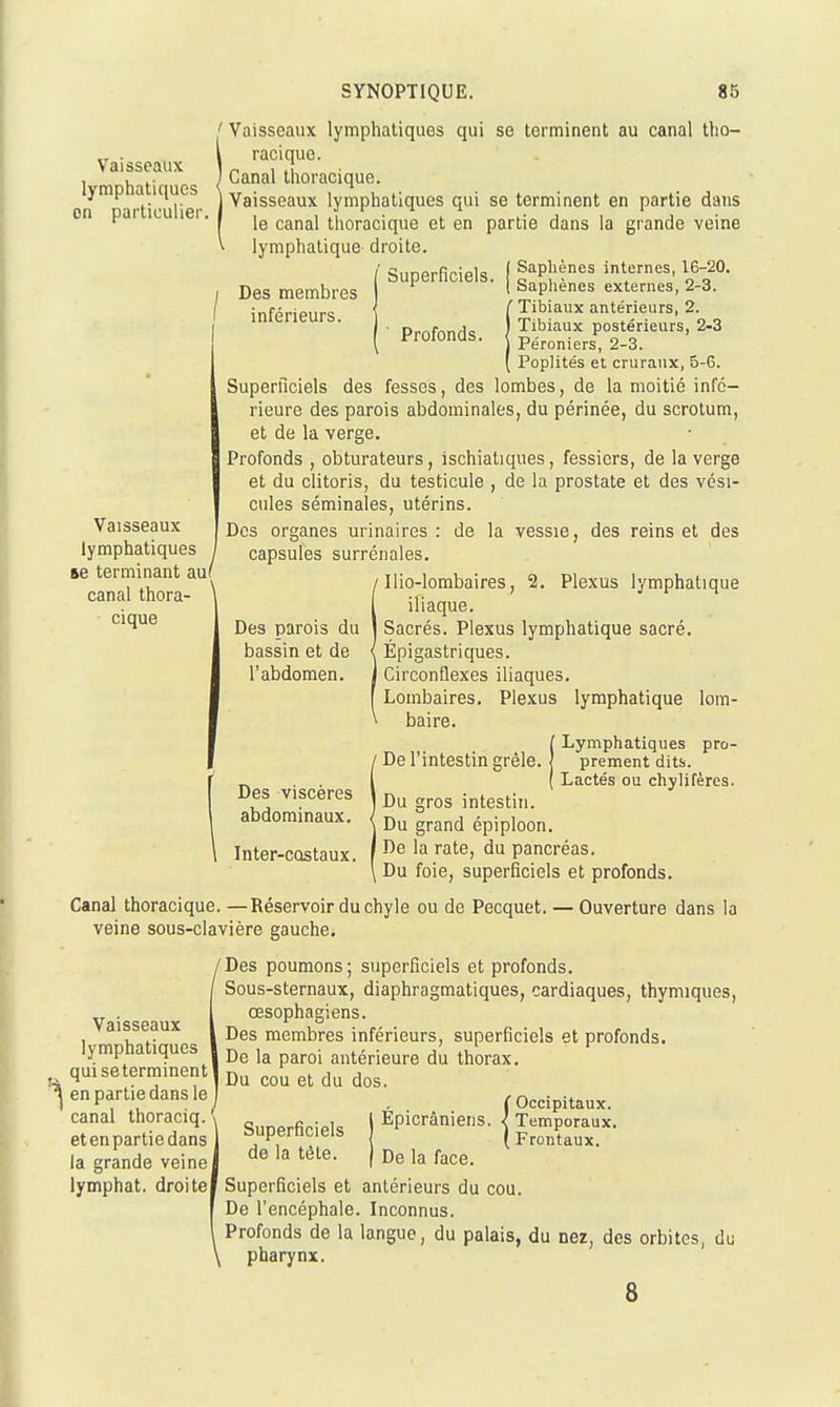 Vaisseaux lymphatiques on particulier. l Vaisseaux lymphatiques qui se terminent au canal tho- racique. Canal thoracique. Vaisseaux lymphatiques qui se terminent en partie dans le canal thoracique et en partie dans la grande veine lymphatique- droite. Superficiels. ( Saphènes internes, 16-20. ^ { Saplienes externes, 2-3. Des membres inférieurs. Profonds. Vaisseaux lymphatiques se terminant au( canal thora- cique iTibiaux antérieurs, 2. Tibiaux postérieurs, 2-3 Péroniers, 2-3. Poplités et cruraux, 5-6. Superficiels des fesses, des lombes, de la moitié infé- rieure des parois abdominales, du périnée, du scrotum, et de la verge. Profonds , obturateurs, ischiatiques, fessiers, de la verge et du clitoris, du testicule , de la prostate et des vési- cules séminales, utérins. Des organes urinaires : de la vessie, des reins et des capsules surrénales. llio-lombaires, 2. Des parois du bassin et de l'abdomen. Des viscères abdominaux. Inter-cQstaux. Plexus lymphatique iliaque. Sacrés. Plexus lymphatique sacré. Épigastriques. Circonflexes iliaques. Lombaires. Plexus lymphatique lom- baire. ( Lymphatiques pro- ' De l'intestin grêle. \ prement dits. Lactés ou chylifères. I Du gros intestin. Du grand épiploon. I De la rate, du pancréas. Du foie, superficiels et profonds. Canal thoracique. —Réservoir du chyle ou de Pecquet. ■ veine sous-clavière gauche. Ouverture dans la Vaisseaux lymphatiques qui se terminent en partie dans le canal thoraciq. et en partie dans la grande veine lymphat. droitei 'Des poumons; superficiels et profonds. Sous-sternaux, diaphragmatiques, cardiaques, thymiques, œsophagiens. Des membres inférieurs, superficiels et profonds. De la paroi antérieure du thorax. I Du cou et du dos. C Occipitaux. Epicrâniens. < Temporaux. ( Frontaux. De la face. Superficiels et antérieurs du cou. De l'encéphale. Inconnus. Profonds de la langue, du palais, du nez, des orbites, du pharynx. 8 Superficiels de la tête.