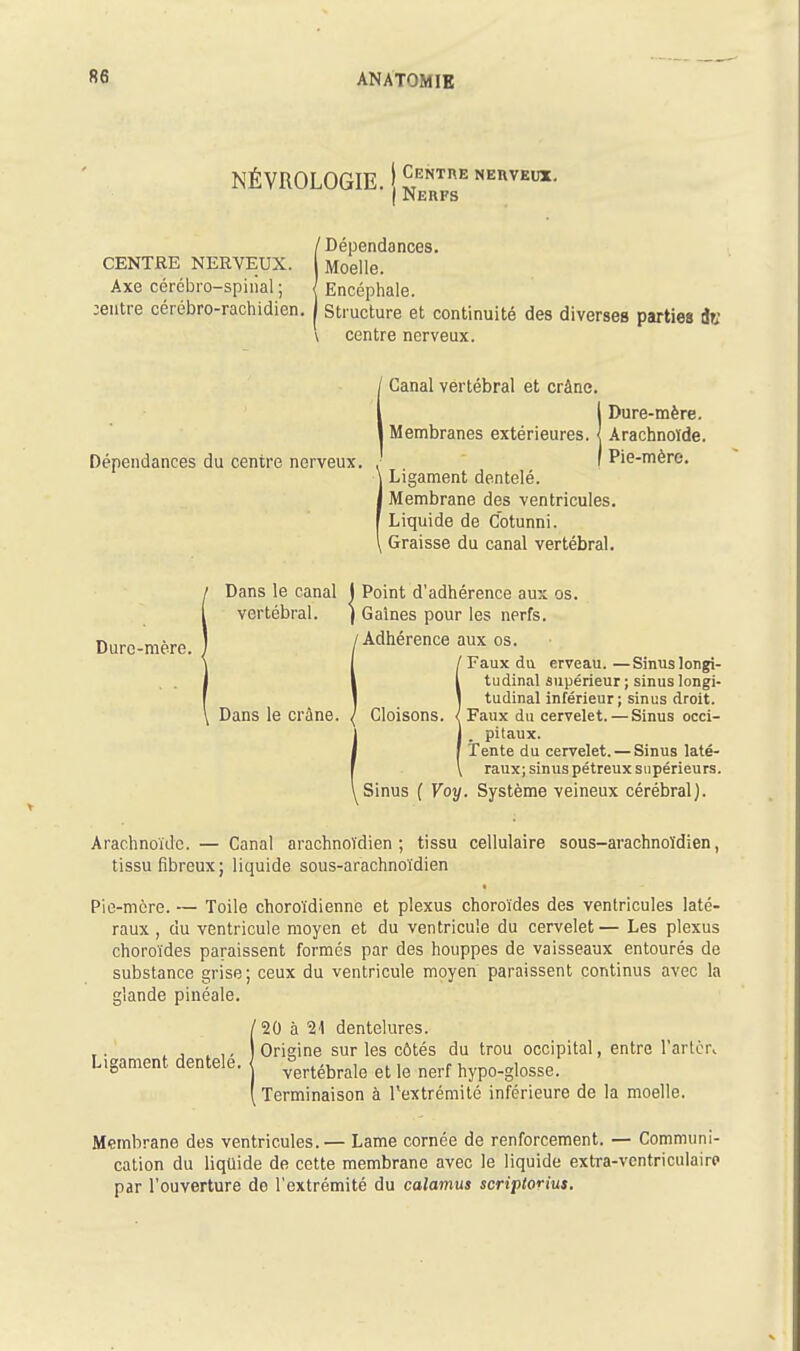 NÉVROLOGIE. j ^™ nerveux. CENTRE NERVEUX. Axe cérébro-spinal ; :entre cérébro-rachidien. / Dépendances. Moelle. Encéphale. Structure et continuité des diverses parties iv centre nerveux. Dépendances du centre nerveux. ' Canal vertébral et crâne. !Dure-mère. Arachnoïde. Pie-mère. 1 Ligament dentelé. Membrane des ventricules. Liquide de Cotunni. , Graisse du canal vertébral. Durc-mère. Dans le canal | Point d'adhérence aux os. vertébral. j Gaines pour les nerfs. /Adhérence aux os. ' Faux du erveau. —Sinus longi- tudinal supérieur ; sinus longi- tudinal inférieur; sinus droit. Dans le crâne. / Cloisons. ^ Faux du cervelet. — Sinus occi- pitaux. Tente du cervelet. — Sinus laté- raux; sinus pétreux supérieurs. Sinus ( Voy. Système veineux cérébral). Arachnoïde. — Canal arachnoïdien ; tissu cellulaire sous-arachnoïdien, tissu fibreux; liquide sous-arachnoïdien Pie-mcre. — Toile choroïdienne et plexus choroïdes des ventricules laté- raux , du ventricule moyen et du ventricule du cervelet— Les plexus choroïdes paraissent formes par des houppes de vaisseaux entourés de substance grise; ceux du ventricule moyen paraissent continus avec la glande pinéale. '20 à 21 dentelures. Origine sur les côtés du trou occipital, entre l'artcr. vertébrale et le nerf hypo-glosse. Terminaison à Textrémilé inférieure de la moelle. Ligament dentelé. Membrane des ventricules.— Lame cornée de renforcement. — Communi- cation du liquide de cette membrane avec le liquide extra-ventriciilairo par l'ouverture de l'extrémité du calamus scriptorius.