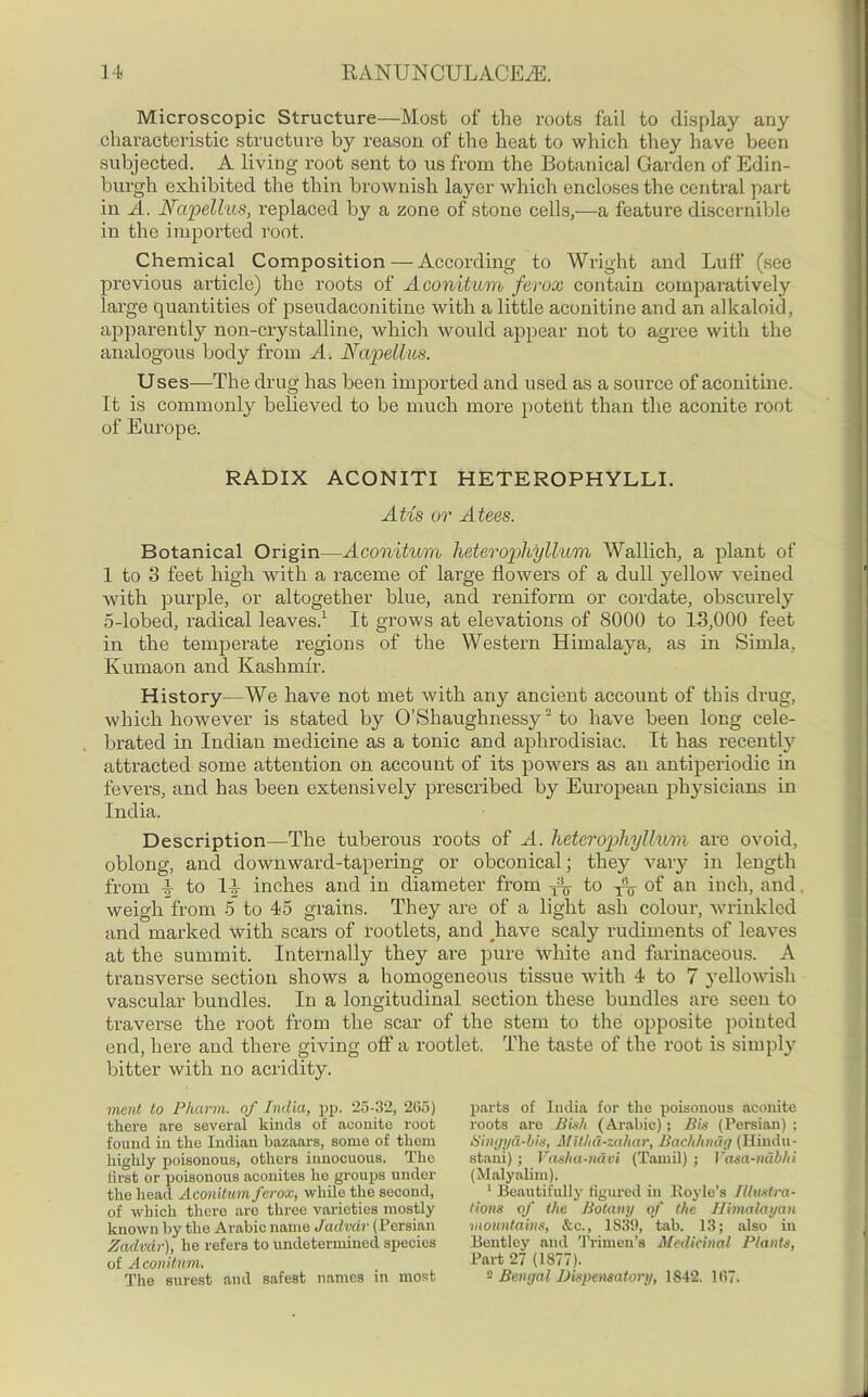Microscopic Structure—Most of the roots fail to display any characteristic structure by reason of the heat to which they have been subjected. A living root sent to us from the Botanical Garden of Edin- burgh exhibited the thin brownish layer which encloses the central part in A. JYapellus, replaced by a zone of stone cells,—a feature discernible in the imported root. Chemical Composition — According to Wright and Luff (see previous article) the roots of Aconitum ferox contain comparatively large quantities of pseudaconitine with a little aconitine and an alkaloid, apparently non-crystalline, which would appear not to agree with the analogous body from A. Ncupellus. Uses—The drug has been imported and used as a source of aconitine. It is commonly believed to be much more potent than the aconite root of Europe. RADIX ACONITI HETEROPHYLLI. AUs or A tees. Botanical Origin—Aconitum heterophylliLm Wallich, a plant of 1 to 3 feet high with a raceme of large flowers of a dull yellow veined with purple, or altogether blue, and reniform or cordate, obscurely 5-lobed, radical leaves.1 It grows at elevations of 8000 to 15,000 feet in the temperate regions of the Western Himalaya, as in Simla, Kumaon and Kashmir. History—We have not met with any ancient account of this drug, which however is stated by O’Shaughnessy2 to have been long cele- brated in Indian medicine as a tonic and aphrodisiac. It has recently attracted some attention on account of its powers as an antiperiodic in fevers, and has been extensively prescribed by European physicians in India. Description—The tuberous roots of A. heterophyllum arc ovoid, oblong, and downwarcl-tapering or obconical; they vary in length from i to li inches and in diameter from -fV to of an inch, and weigh from 5 to 45 grains. They are of a light ash colour, wrinkled and marked with scars of rootlets, and Jiave scaly rudiments of leaves at the summit. Internally they are pure white and farinaceous. A transverse section shows a homogeneous tissue with 4 to 7 yellowish vascular bundles. In a longitudinal section these bundles are seen to traverse the root from the scar of the stem to the opposite pointed end, here and there giving off a rootlet. The taste of the root is simply bitter with no acridity. merit to Pharm. of India, pp. 25-32, 265) there are several kinds of aconite root found in the Indian bazaars, some of them highly poisonous, others innocuous. The first or poisonous aconites he groups under the head Aconitum ferox, while the second, of which there are three varieties mostly known by the Arabic name Jadvdr (Persian ZadvAr), he refers to undetermined species of Aconitum. The surest and safest names in most parts of India for the poisonous aconite roots are Pish (Arabic); Bis (Persian) ; Bingyd-bis, MUhd-zahar, Bachhndg (Hindu- stani) ; Vasha-navi (Tamil); Vasa-nabhi (Malyalim). 1 Beautifully figured in Boyle’s Illustra- tions of the Botany of the Himalayan 'mountains, &c., 1S39, tab. 13; also in Bentley and Trimen’s Medicinal Plants, Part 27 (1877). - Bengal Dispensatory, 1S42. 107.