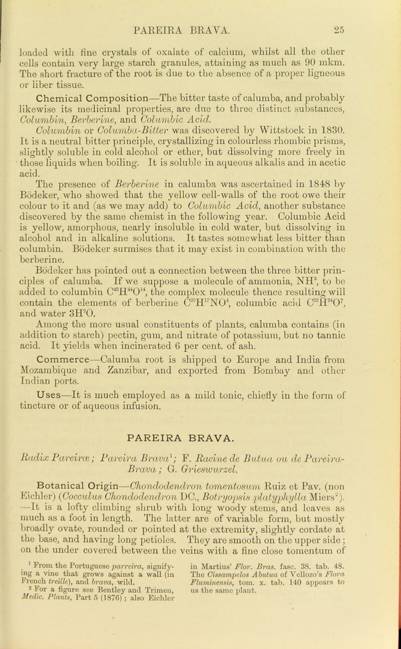 loaded with line crystals of oxalate of calcium, whilst all the other cells contain very large starch granules, attaining as much as 90 mkm. The short fracture of the root is due to the absence of a proper ligneous or liber tissue. Chemical Composition—The bitter taste of calumba, and probably likewise its medicinal properties, are due to three distinct substances, Golumbin, Berberine, and Columbic Acid. Columbin or Columba-Bitter was discovered by YVittstock in 1830. It is a neutral bitter principle, crystallizing in colourless rhombic prisms, slightly soluble in cold alcohol or ether, but dissolving more freely in those liquids when boiling. It is soluble in aqueous alkalis and in acetic acid. The presence of Berberine in calumba was ascertained in 1848 by Bodeker, who showed that the yellow cell-walls of the root owe their colour to it and (as we may add) to Columbic Acid, another substance discovered by the same chemist in the following year. Columbic Acid is yellow, amorphous, nearly insoluble in cold water, but dissolving in alcohol and in alkaline solutions. It tastes somewhat less bitter than columbin. Bodeker surmises that it may exist in combination with the berberine. Bodeker has pointed out a connection between the three bitter prin- ciples of calumba. If we suppose a molecule of ammonia, NH3, to be added to columbin C^H^O14, the complex molecule thence resulting will contain the elements of berberine C~H17N04, columbic acid CH2407, and water 3H20. Among the more usual constituents of plants, calumba contains (in addition to starch) pectin, gum, and nitrate of potassium, but no tannic acid. It yields when incinerated 6 per cent, of ash. Commerce—-Calumba root is shipped to Europe and India from Mozambique and Zanzibar, and exported from Bombay and other Indian ports. Uses—It is much employed as a mild tonic, chiefly in the form of tincture or of aqueous infusion. PAREIRA BRAVA. Radix Parrived; Fareira Brava1 2; F. Racine cle Butua ou dc Parcira- Brava; G. Grieswurzel. Botanical Origin—Chondodendron tumentosum Ruiz et Pav. (non Eichler) (Cocculus Chondodendron DC., Botryopsis platyphylla Miers'). —It is a lofty climbing shrub with long woody stems, and leaves as much as a foot in length. The latter are of variable form, but mostly broadly ovate, rounded or pointed at the extremity, slightly coi’date at the base, and having long petioles. They are smooth on the upper side ; on the under covered between the veins with a fine close tomentum of 1 From the Portuguese parreira, signify- ing a vine that grows against a wall (in French treille), and brava, wild. 2 For a figure see Bentley and Trimen, Medic. Plants, Part 5 (1S7G) ; also Eichler in Martius’ Flor. Bras. fasc. 38. tab. 48. The Gissampelos Abutua of Vellozo’s Flora Fluminensis, tom. x. tab. 140 appears to us the same plant.