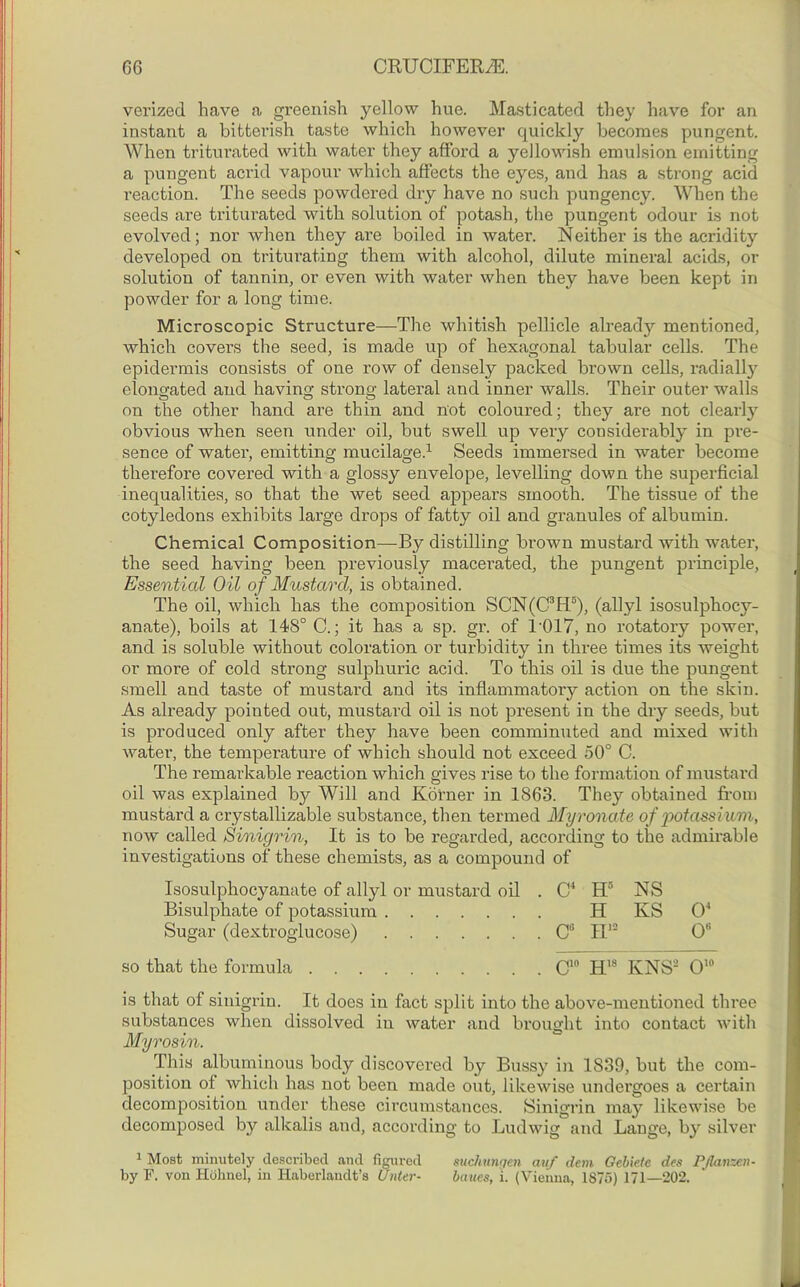 verized have a greenish yellow hue. Masticated they have for an instant a bitterish taste which however quickly becomes pungent. When triturated with water they afford a yellowish emulsion emitting a pungent acrid vapour which affects the eyes, and has a strong acid reaction. The seeds powdered dry have no such pungency. When the seeds are triturated with solution of potash, the pungent odour is not evolved; nor when they are boiled in water. Neither is the acridity developed on triturating them with alcohol, dilute mineral acids, or solution of tannin, or even with water when they have been kept in powder for a long time. Microscopic Structure—The whitish pellicle already mentioned, which covers the seed, is made up of hexagonal tabular cells. The epidermis consists of one row of densely packed brown cells, radially elongated and having strong lateral and inner walls. Their outer walls on the other hand are thin and not coloured; they are not clearly obvious when seen under oil, but swell up very considerably in pre- sence of water, emitting mucilage.1 Seeds immersed in water become therefore covered with a glossy envelope, levelling down the superficial inequalities, so that the wet seed appears smooth. The tissue of the cotyledons exhibits large drops of fatty oil and granules of albumin. Chemical Composition—By distilling brown mustard with water, the seed having been previously macerated, the pungent principle, Essential Oil of Mustard, is obtai ned. The oil, which has the composition SCN(C3H5), (allyl isosulphocj7- anate), boils at 148° C.; it has a sp. gr. of T017, no rotatory power, and is soluble without coloration or turbidity in three times its weight or more of cold strong sulphuric acid. To this oil is due the pungent smell and taste of mustard and its inflammatory action on the skin. As already pointed out, mustard oil is not present in the dry seeds, but is produced only after they have been comminuted and mixed with water, the temperature of which should not exceed 50° C. The remarkable inaction which gives rise to the formation of mustard oil was explained by Will and Korner in 1863. They obtained from mustard a crystallizable substance, then termed Myronate of ‘potassium, now called Sinigrin, It is to be regarded, according to the admirable investigations of these chemists, as a compound of Isosulphocyanate of allyl or mustard oil . C4 H5 NS Bisulphate of potassium H KS O4 Sugar (dextroglucose) CB H1S Ofi so that the formula C10 H18 KNS2 0'° is that of sinigrin. It does in fact split into the above-mentioned three substances when dissolved in water and brought into contact with My rosin. This albuminous body discovered by Bussy in 1839, but the com- position of which has not been made out, likewise undergoes a certain decomposition under these circumstances. Sinigrin may likewise be decomposed by alkalis and, according to Ludwig and Lange, by silver 1 Most minutely described and figured suchunrjen auf deni Gebiele des Pflanzcn- by F. von Hohnel, in Haberlaudt’s Unter- baues, i. (Vienna, 1875) 171—202.
