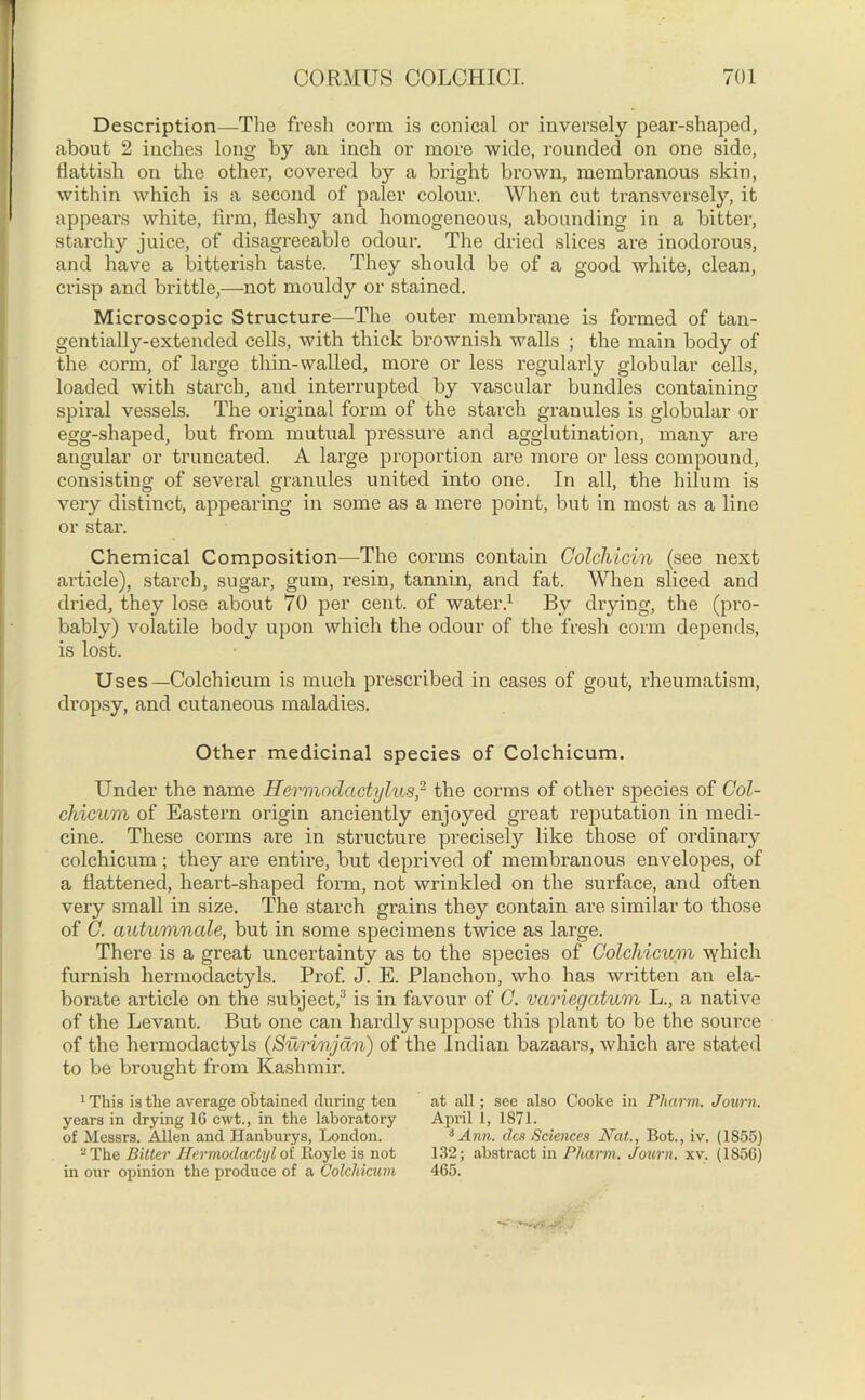 Description—The fresh conn is conical or inversely pear-shaped, about 2 inches long by an inch or more wide, rounded on one side, flattish on the other, covered by a bright brown, membranous skin, within which is a second of paler colour. When cut transversely, it appears white, firm, fleshy and homogeneous, abounding in a bitter, starchy juice, of disagreeable odour. The dried slices are inodorous, and have a bitterish taste. They should be of a good white, clean, crisp and brittle,—not mouldy or stained. Microscopic Structure—The outer membrane is formed of tan- gentially-extended cells, with thick brownish walls ; the main body of the conn, of large thin-walled, more or less regularly globular cells, loaded with starch, and interrupted by vascular bundles containing spiral vessels. The original form of the starch granules is globular or egg-shaped, but from mutual pressure and agglutination, many are angular or truucated. A large proportion are more or less compound, consisting of several granules united into one. In all, the hilum is very distinct, appearing in some as a mere point, but in most as a line or star. Chemical Composition—The conns contain Colchicin (see next article), starch, sugar, gum, resin, tannin, and fat. When sliced and dried, they lose about 70 per cent, of water.1 By drying, the (pro- bably) volatile body upon which the odour of the fresh conn depends, is lost. Uses—Colchicum is much prescribed in cases of gout, rheumatism, dropsy, and cutaneous maladies. Other medicinal species of Colchicum. Under the name Hermoclactylus,2 the conns of other species of Col- chicum of Eastern origin anciently enjoyed great reputation in medi- cine. These conns are in structure precisely like those of ordinary colchicum; they are entire, but deprived of membranous envelopes, of a flattened, heart-shaped form, not wrinkled on the surface, and often very small in size. The starch grains they contain are similar to those of C. autumnale, but in some specimens twice as large. There is a great uncertainty as to the species of Colchicum which furnish hermodactyls. Prof. J. E. Planchon, who has written an ela- borate article on the subject,3 is in favour of C. variegatum L., a native of the Levant. But one can hardly suppose this plant to be the source of the hermodactyls (Surinjdn) of the Indian bazaars, which are stated to be brought from Kashmir. 1 This is the average obtained during ten years in drying 16 cwt., in the laboratory of Messrs. Allen and Hanburys, London. 2 The Bitter He.rmodactyl of Boyle is not in our opinion the produce of a Colchicum at all; see also Cooke in Pharm. Journ. April 1, 1871. 6 Ann. dcs Sciences Nat., Bot., iv. (1855) 132; abstract in Pharm. Journ. xv. (1856) 465. '—S> V