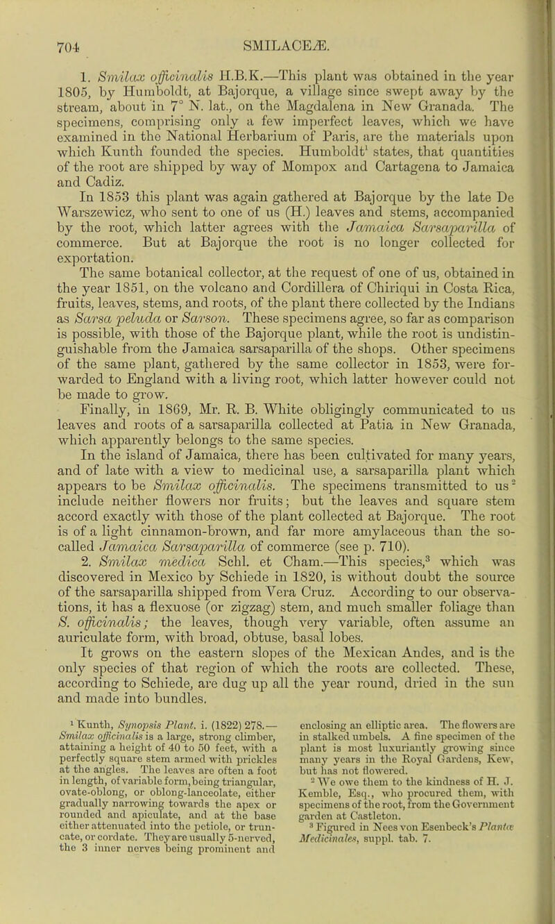 1. Smilax officinalis 1I.B.K.—This plant was obtained in the year 1805, by Humboldt, at Bajorque, a village since swept away by the stream, about in 7° N. lat., on the Magdalena in New Granada. The specimens, comprising only a few imperfect leaves, which we have examined in the National Herbarium of Paris, are the materials upon which Kunth founded the species. Humboldt1 states, that quantities of the root are shipped by way of Mompox and Cartagena to Jamaica and Cadiz. In 1853 this plant was again gathered at Bajorque by the late Be Warszewicz, who sent to one of us (H.) leaves and stems, accompanied by the root, which latter agrees with the Jamaica Sarsaparilla of commerce. But at Bajorque the root is no longer collected for exportation. The same botanical collector, at the request of one of us, obtained in the year 1851, on the volcano and Cordillera of Chiriqui in Costa Rica, fruits, leaves, stems, and roots, of the plant there collected by the Indians as Sarsci peludci or Sarson. These specimens agree, so far as comparison is possible, with those of the Bajorque plant, while the root is undistin- guishable from the Jamaica sarsaparilla of the shops. Other specimens of the same plant, gathered by the same collector in 1853, were for- warded to England with a living root, which latter however could not be made to grow. Finally, in 1869, Mr. R. B. White obligingly communicated to us leaves and roots of a sarsaparilla collected at Patia in New Granada, which apparently belongs to the same species. In the island of Jamaica, there has been cultivated for many years, and of late with a view to medicinal use, a sarsaparilla plant which appears to be Smilax officinalis. The specimens transmitted to us2 include neither flowers nor fruits; but the leaves and square stem accord exactly with those of the plant collected at Bajorque. The root is of a light cinnamon-brown, and far more amylaceous than the so- called Jamaica Sarsap)arilla of commerce (see p. 710). 2. Smilax meclica Schl. et Cham.—This species,3 which was discovered in Mexico by Schiede in 1820, is without doubt the source of the sarsaparilla shipped from Vera Cruz. According to our observa- tions, it has a flexuose (or zigzag) stem, and much smaller foliage than S. officinalis; the leaves, though very variable, often assume an auriculate form, with broad, obtuse, basal lobes. It grows on the eastern slopes of the Mexican Andes, and is the only species of that region of which the roots are collected. These, according to Schiede, are dug up all the year round, dried in the sun and made into bundles. 1 Kunth, Synopsis Plant, i. (1S22) 278.— Smilax officinalis is a large, strong climber, attaining a height of 40 to 50 feet, with a perfectly square stem armed with prickles at the angles. The leaves are often a foot in length, of variable form, being triangular, ovate-oblong, or oblong-lanceolate, either gradually narrowing towards the apex or rounded and apiculate, and at the base either attenuated into the petiole, or trun- cate, or cordate. They arc usually 5-nervcd, the 3 inner nerves being prominent and enclosing an elliptic area. The flowers are in stalked umbels. A fine specimen of the plant is most luxuriantly growing since many years in the Royal Gardens, Kew, but has not flowered. 2 We owe them to the kindness of H. J. Kemble, Esq., who procured them, with specimens of the root, from the Government garden at Castleton. 8 Figured in Nees von Esenbeck’s Plants Medicinales, suppl. tab. 7.