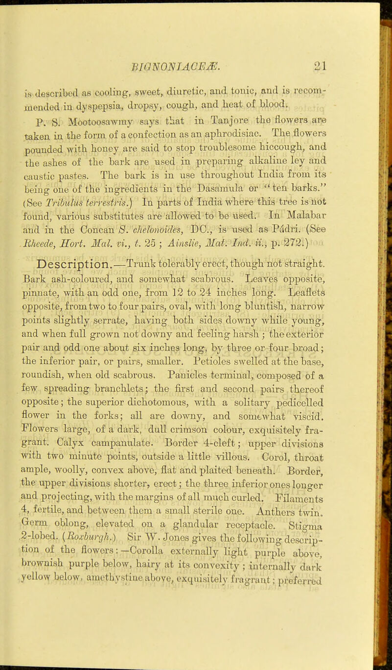 IHIGNONJACEM. m described as cooling, sweet, diuretic, aiiA tonic, and is recom- mended in dyspepsia, dropsy, cough, and heat of blood, P. S. Mootoosawray says that in Tanjore the flowers are taken in the form of a confection as an aphrodisiac. The flowers pounded with honey are said to stop troublesome hiccough, and the ashes of the bark are used in preparing alkaline ley and caustic pastes. The bark is in use throughout India from its beinff one of the ingredients in the Dasamul'a or  ten barks. (See Tribulus tevrestris.) In parts of India where this tree is not found, various substitutes are allowed to be used. In Malabar and in the Ooncan 8. chelonoides, DC, is used as Padri. (See Rheecle, Hort. Mai. vi., t. 25 ; Ainslie, Mak'Ind.'U., p. 272.) Description.—Trunk tolerably erect, though not straight. Bark ash-coloured, and somewhat scabrous. Leaves opposite, pinnate, with an odd one, from 12 to 24 inches loiig. Leaflets opposite, from two to four pairs, oval, witli long bluntish, narrow points slightly serrate, having both sides downy while young, and when full grown not downy and feeling harsh ; the exterior pair and odd one about six inches long, by three or four broad; the inferior pair, or pairs, smaller. Petioles swelled at the base, roundish, when old scabrous. Panicles teiToinal, composed of a fe\y spreading branchlets; the first and second pairs thereof opposite; the superior dichotomous, with a solitary pedicelled flower in the forks; all are downy, and somewhat viscid. Flowers large, of a dark, dull crimson colour, exquisitely fra- grant. Calyx campanulate. Border 4-cleft; upper divisions with two minute points, outside a little villous. Corel, throat ample, woolly, convex above, flat and plaited beneath. Border, the upper divisions shorter, erect: the three inferior ones lono-er and proj ectmg, with the margins of all much curled. Filaments 4, fertile, and between them a small sterile one. Anthers twin. Germ oblong, elevated on a glandular receptacle. Stigma .2-lobed. {Roxburgh.) Sir W. Jones gives the following descrip- tion of the flowers:—Corolla externally light purple above, brownish purple below, hairy at its convexity ; internally dark yellow below, amethystine above, exquisitely fragrant; preferred