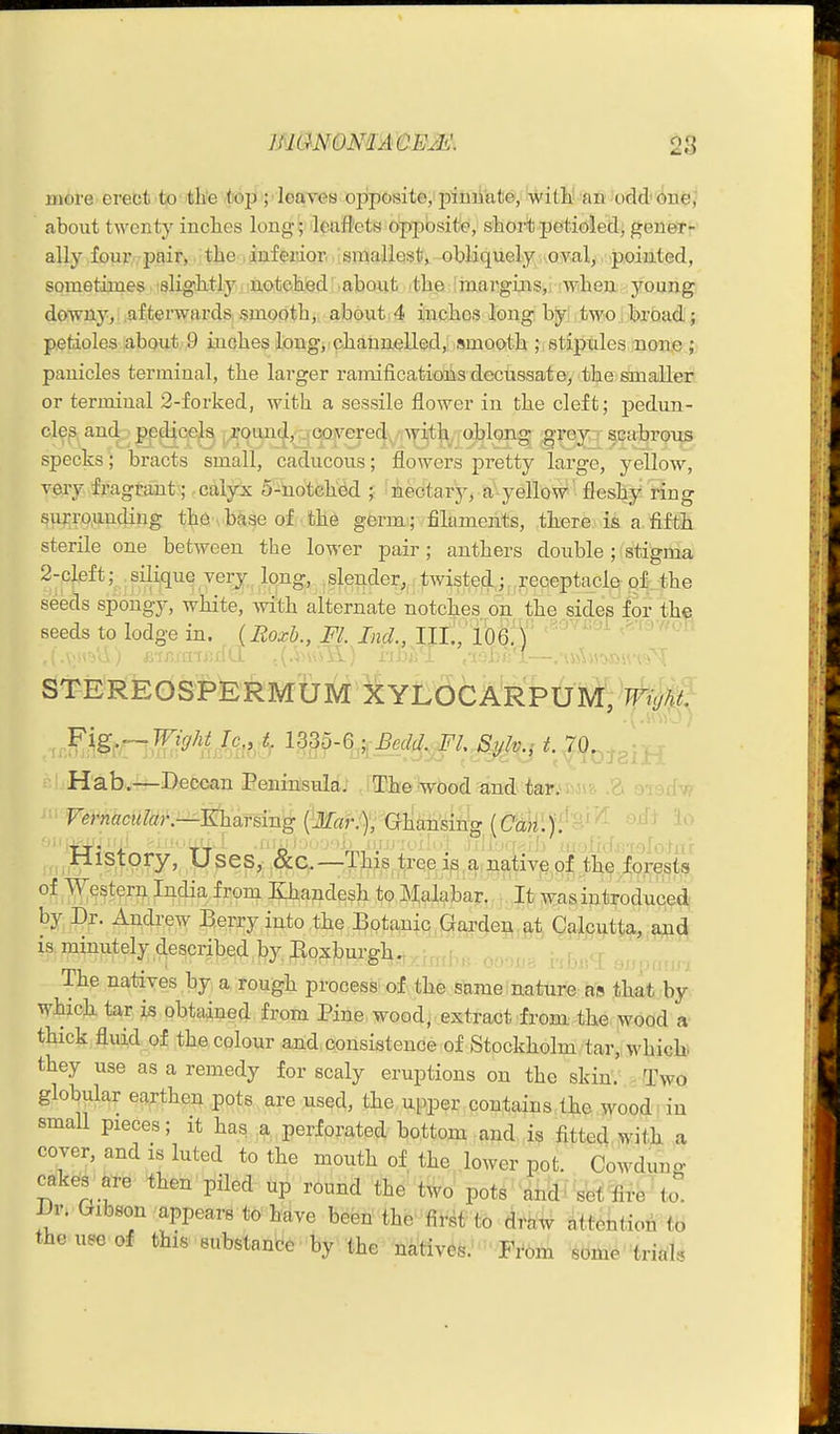 more' erect'tp^itlife <top •;<leaves opposite, pimiate, witlal 'an odd'one,' about twenty incites long; leaflets opposite, sbort petioled, gener- ally four pair, the inferior smallest, obliquely oval, pointed, sometimes slightly notched about the margins, when young downy, ,afterwards smooth, about 4 inches long by two broad j petioles about,',9 inches long, channelled, smooth ; stipules none ;> panicles terminal, the larger ramifications dectissate, the smaller or terminal 2-forked, with a sessile flower in the cleft; pedun- cles and pedicels round, covered, ^yith oblong grey~ scabrous specks; bracts small, caducous; flowers pretty large, yellow, very fragrant ; calyx 5-notehed ; nectary, a yellow fleshy ring su^ro,undiug the , biise of th6 germ.; filaments, therkx.ife a fifth sterile one between the lo'n-er pair; anthers double ; stigma 2-cleft; silique very long, ,slender, twisted; receptacle of. the seeds spongy, white, with alternate notches on the sides for the seeds to lodge in. {Eozb., Fl. Ind.,111., 106.) '  STEREOSPERM'uM XYLOCARPUM, Wiyht^ ! Habv—Defcean BeninlsHla) JQlfeVbod^ind. tar.. m?. , Vemacttlar.^'^afsmg (Mar:)'; Gliansihg (Caiii ' ''-^^' '' ,,, history, Uses, &c,—TJjis tree is a native of the forests of Western India from Hhandesh to Malabar. It was introduced Ijy Dr. Andrew Berry into the Botanic^Garde^i.gi^ Qaljciitta, and is minutely ^escribed by Eoxburgh. , The natives by a rough process' of the same nature as that by.- which tar is obtained from Pine,wood; extract from the ;5vood a- thick fluid of the colour and consistence of Stockholm tar,, whicb they use as a remedy for scaly eruptions on the skin. Two globular earthen pots are used, the upper contains the wood in small pieces; it has a perforated bottom and is fitted with a cover, and is luted to the mouth of the lower pot. Cowduno- cake^s are then piled up round the two pots jlii'd 1 Wet ^fire ^ to. JJr. Gibson appears to have been the first to dtti^ ittehtion to theueeof this substance by the natives. Fi'om sdme trials