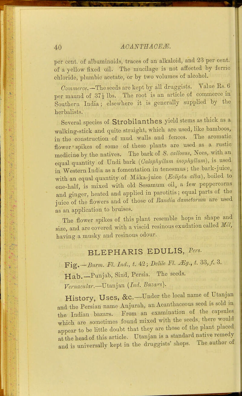 per cent, of albuminoids, traces of an alkaloid, and 23 per cent, of a yellow fixed oil. The mucilage is not affected by ferric chloride, plumbic acetate, or by two volumes of alcohol. Oommeree. —The seeds are kept by all druggists. Value Rs. G per maund of 37i lbs. The root is an article of commerce in Southera India; elsewhere it is generally supplied by the herbalists. Several species of Strobilanthes yield stems as thick as a walking-stick and quite straight, which are used, like bamboos, in the construction of mud walls and fences. The aromatic flower' spikes of some of these plants are used as a rustic medicine by the natives. The bark of S. callosus, Nees, with an equal quantity of Undi bark {Calophylhm implujllum), is used in Western India as a fomentation in tenesmus ; the bark-juice, with an equal quantity of Maka-juice {EolipUi alba), boiled to one-half, is mixed with old Sesamum oil, a few peppercorns and ginger, heated and applied in parotitis; equal parts of the juice of the flowers and of those of Bandia dwnetorum are used as an application to bruises. The flower spikes of this plant resemble hops in shape and size, and are covered with a viscid resinous exudation caUed Mel, having a musky and resinous odour. BLEPHARIS EDULIS, Pers. Fig.—-Bttm. Fl. Ind., t. 42; Delile Fl. u^g., t. 33,/. 3. Hab.—-Punjab, Sind, Persia. The seeds. Fer?iaw*?ar.—Utanjan {Ind. Bazars). History, Uses, &c.—Under the local name of Utanjan and the Persian name Anjurah, an Acanthaceous seed is sold in the Indian bazars. From an examination of the capsules which are sometimes found mixed with the seeds, there would appear to be little doubt that they are those of the plant placed at the head of this article. Utanjan is a standard native remedy and is universally kept in the druggists' shops. The author of