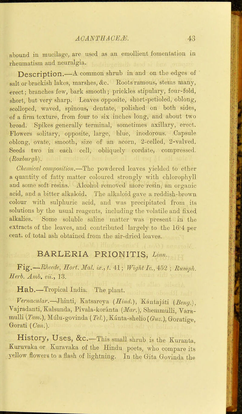 abound in mucilage, are used as an emollient fomentation in rheumatism and neuralgia. Description.—A common shrub in and on the edges of salt or brackish lakes, marshes, &c. Roots ramous, stems many, erect; branches few, bark smooth; prickles stipulary, four-fold, short, but very sharp. Leaves opposite, short-petioled, oblong, scolloped, waved, spinous, dentate, polished on both sides, of a firm texture, from four to six inches long, and about two broad. Spikes generally terminal, sometimes axillarj'^, erect. Flowers solitary, opposite, large, blue, inodorous. Capsule oblong, ovate, smooth, size of an acorn, 2-celled, 2-valved. Seeds two in each cell, obliquely cordate, compressed. {Roxburgh). Chemical composition.—^The powdered leaves yielded to ether a quantity of fatty matter coloured strongly with chlorophyll and some soft resins. Alcohol removed more resin, an orgauic acid, and a bitter alkaloid. The alkaloid gave a reddish-brown colour with sulphuric acid, and was precipitated from its solutions by the usual reagents, including the volatile and fixed alkalies. Some soluble saline matter was present in the extracts of the leaves,, and contributed largely to the 16'4 per cent, of total ash obtained from the air-dried leaves. BARLERIA PRIONITIS, Limi.. Fig.—Rkeede, Hoi't. Mai. ix.,t. 41; Wight Ic, 4:62 ; Rumjjh. Herb. Amb. vii., 13. Hab.—Tropical India. The plant. Vernacular.—Jhinti, Katsareya {Hind.), Kautajati [Bong.), Vajradanti, Kalsunda, Pivala-koranta {3Iar.), Shemmulli, Vara- muUi {Tam.), Mulu-govinda (re^.),Kanta-shelio((?«z.), Goratige, Gorati {Can.). History, Uses, &C.—This small shrub is the Kuranta, Kuruvaka or Kuravaka of the Hindu poets, who compare its yellow flowers to a flash of lightning. In the Gita Govinda the