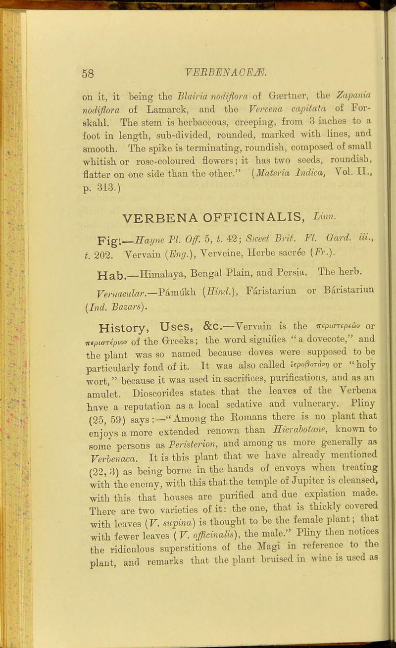 on it, it being the Blairia nodiflora of Gfertner, tlie Zapania nodiflora of Lamarck, and the Vervena capitafa of For- skahl. The stem is herbaceous, creeping, from 3 inches to a foot in length, sub-divided, rounded, marked with lines, and smooth. The spike is terminating, roundish, composed of small whitish or rose-coloured flowers; it has two seeds, roundish, flatter on one side than the other. {Materia Indica, Vol. II., p. 313.) VERBENA OFFICINALIS, Linn. Y\g\^Eayne PL 0/f. 5, t. 42; Sweet Brit. Fl. Gard. Hi., t. 202. Vervain {Eng.), Verveine, Herbe sacree (Fr.). Himalaya, Bengal Plain, and Persia. The herb. Vernacular.—Vkmmi {Hind.), Fdristariun or Baristariun {Ind. Bazars). History, Uses, &C.—Vervain is the irepia-Ttpcwv or irtpiar^ptov of the Greeks; the word signifies a dovecote, and the plant was so named because doves were supposed to be particularly fond of it. It was also called Upo^oraurj or  holy wort,  because it was used in sacrifices, purifications, and as an amulet. Dioscorides states that the leaves of the Verbena have a reputation as a local sedative and vulnerary. Pliny (25,59) says: Among the Eomans there is no plant that enjoys a more extended renown than Eierahotane, knowTi to some persons as Peristerion, and among us more generaUy as Verbenaca. It is this plant that we have already mentioned (22, 3) as being borne in the hands of envoys when treating with the enemy, with this that the temple of Jupiter is cleansed, with this that houses are purified and due expiation made. There are two varieties of it: the one, that is thickly covered ^vith leaves {V. stipina) is thought to be the female plant; that with fewer leaves ( V. officinalis), the male. Pliny then notices the ridiculous superstitions of the Magi in reference to the plant, and remarks that the plant bruised in wine is used as